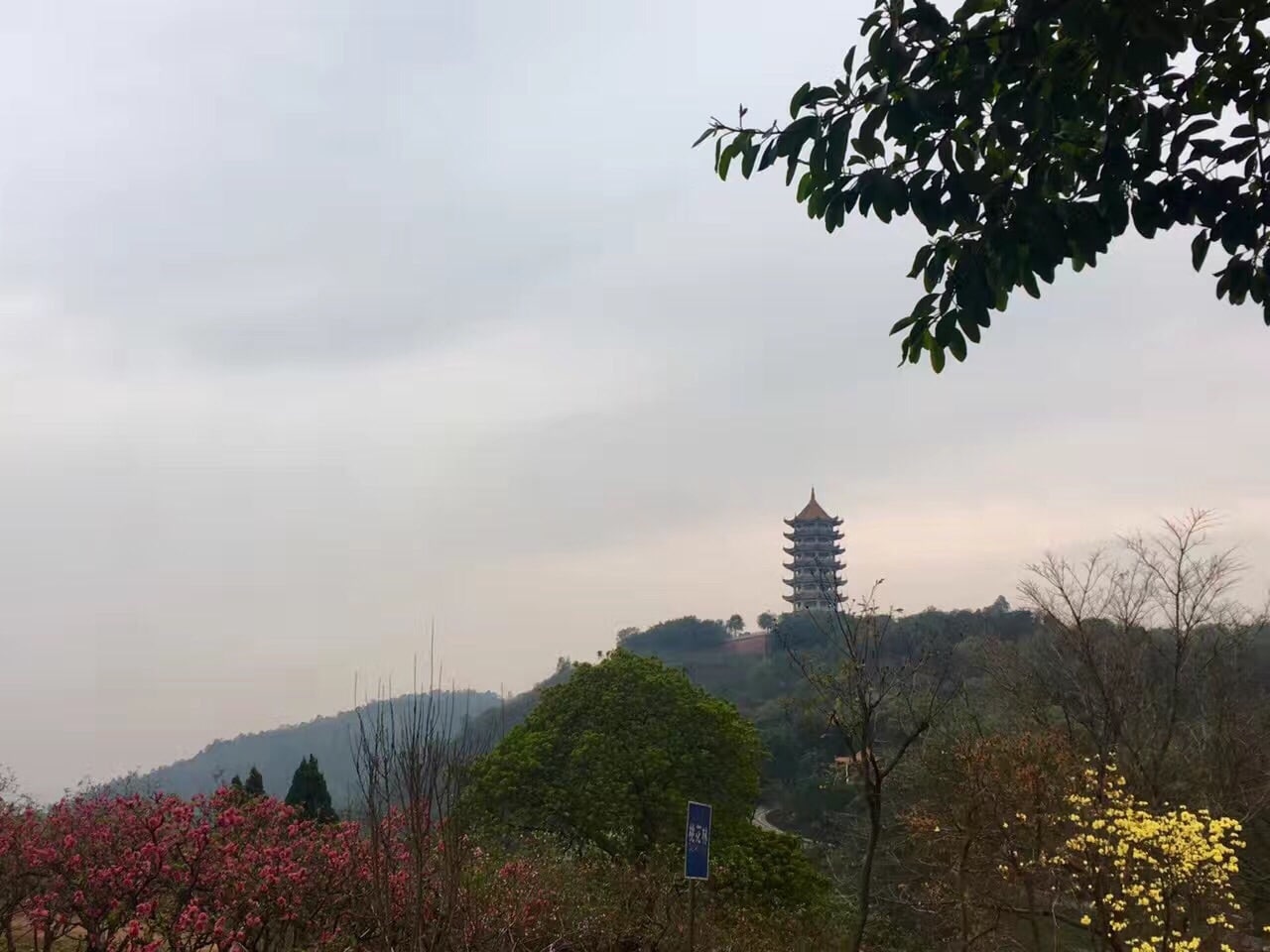 十八罗汉山森林公园景点图片 3