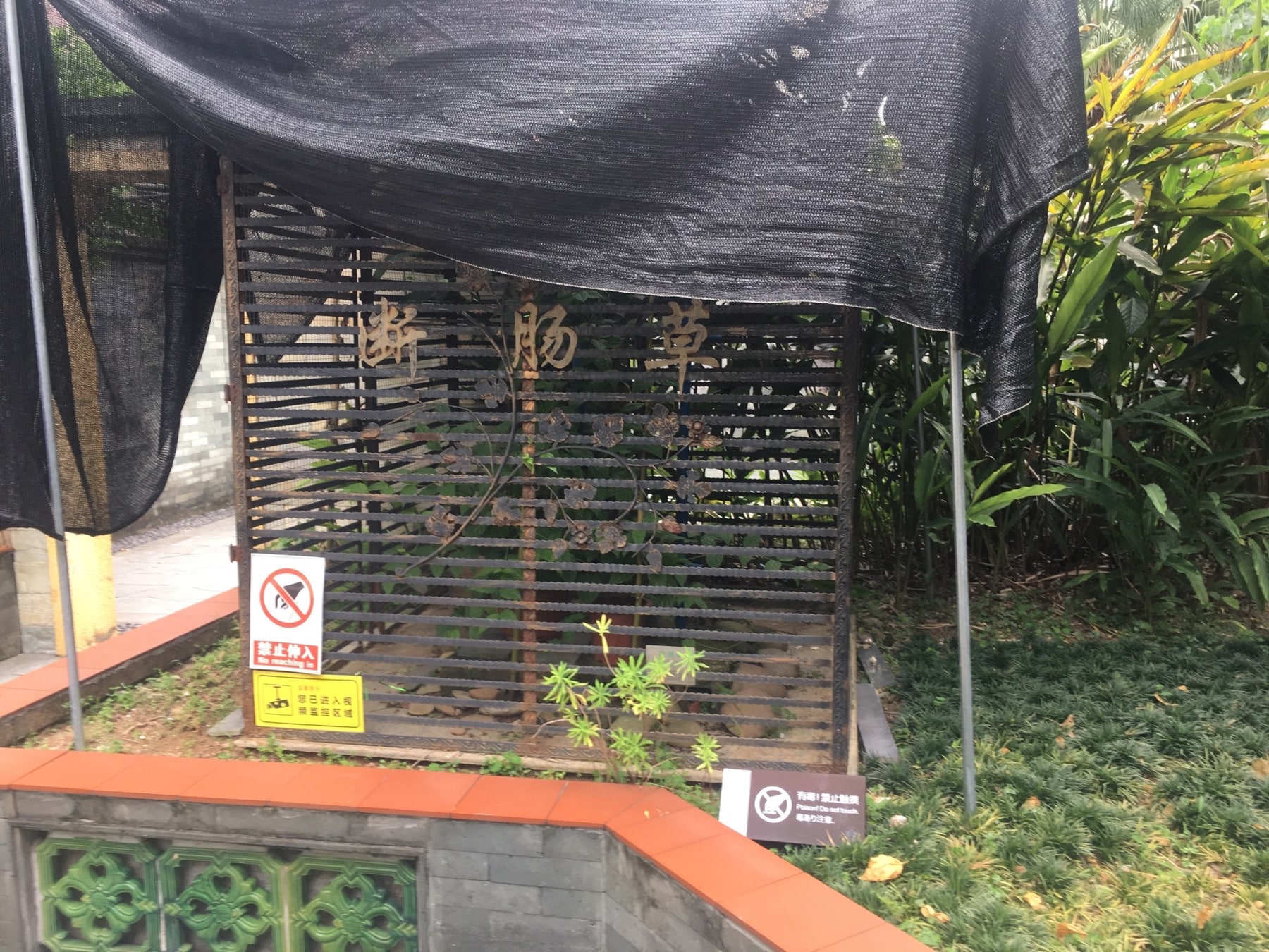 广州神农草堂中医药博物馆景点图片 8
