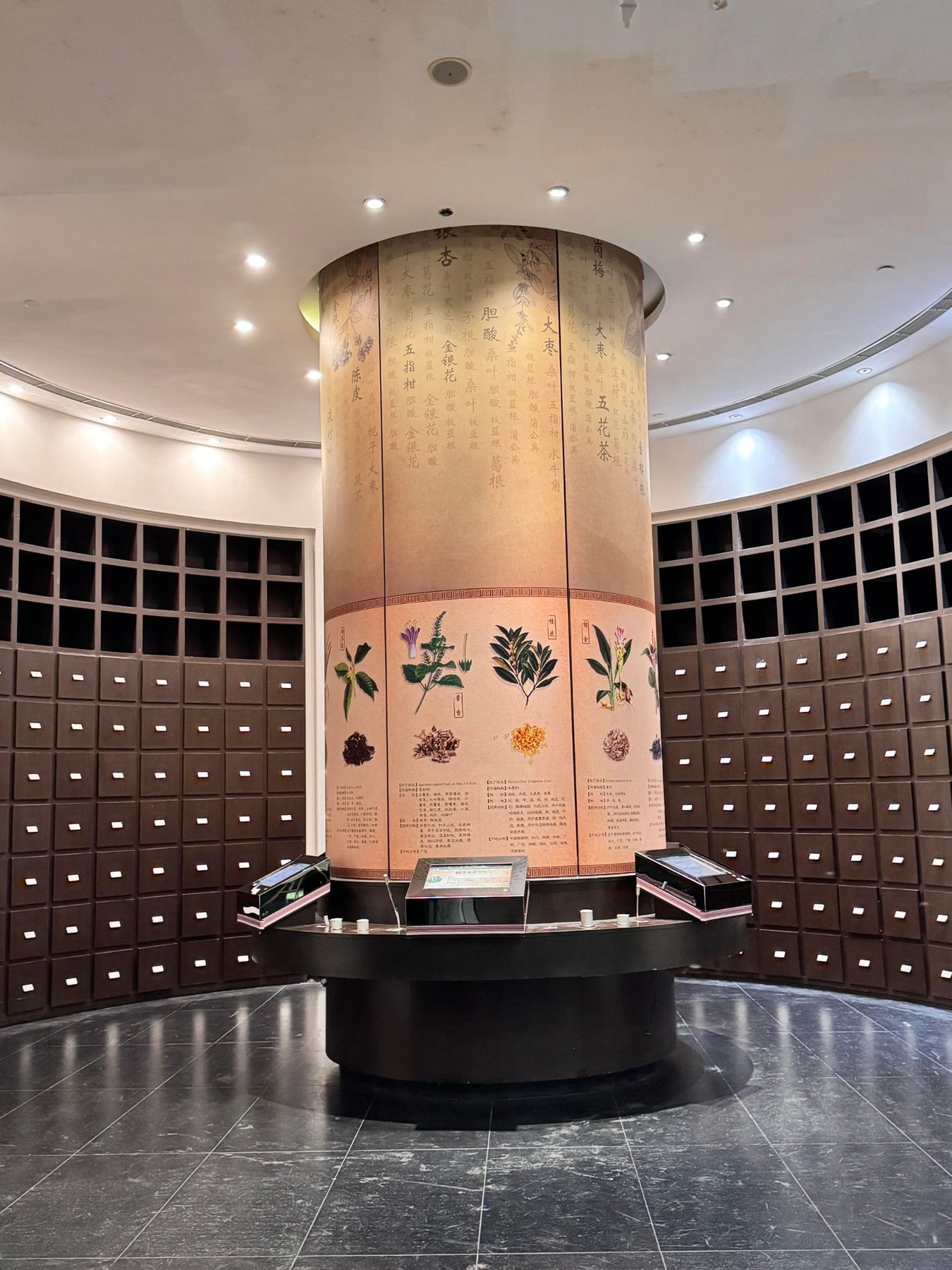 广东省凉茶博物馆景点图片 5