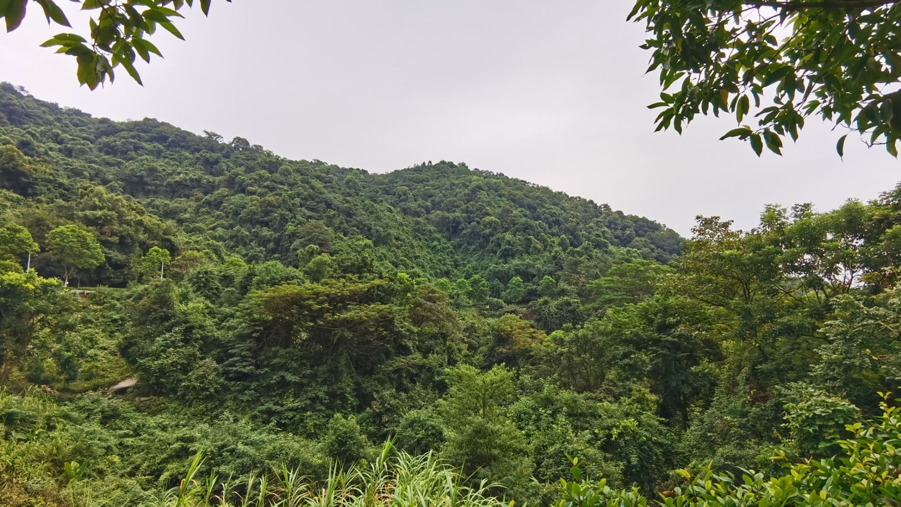 火炉山森林公园景点图片 6