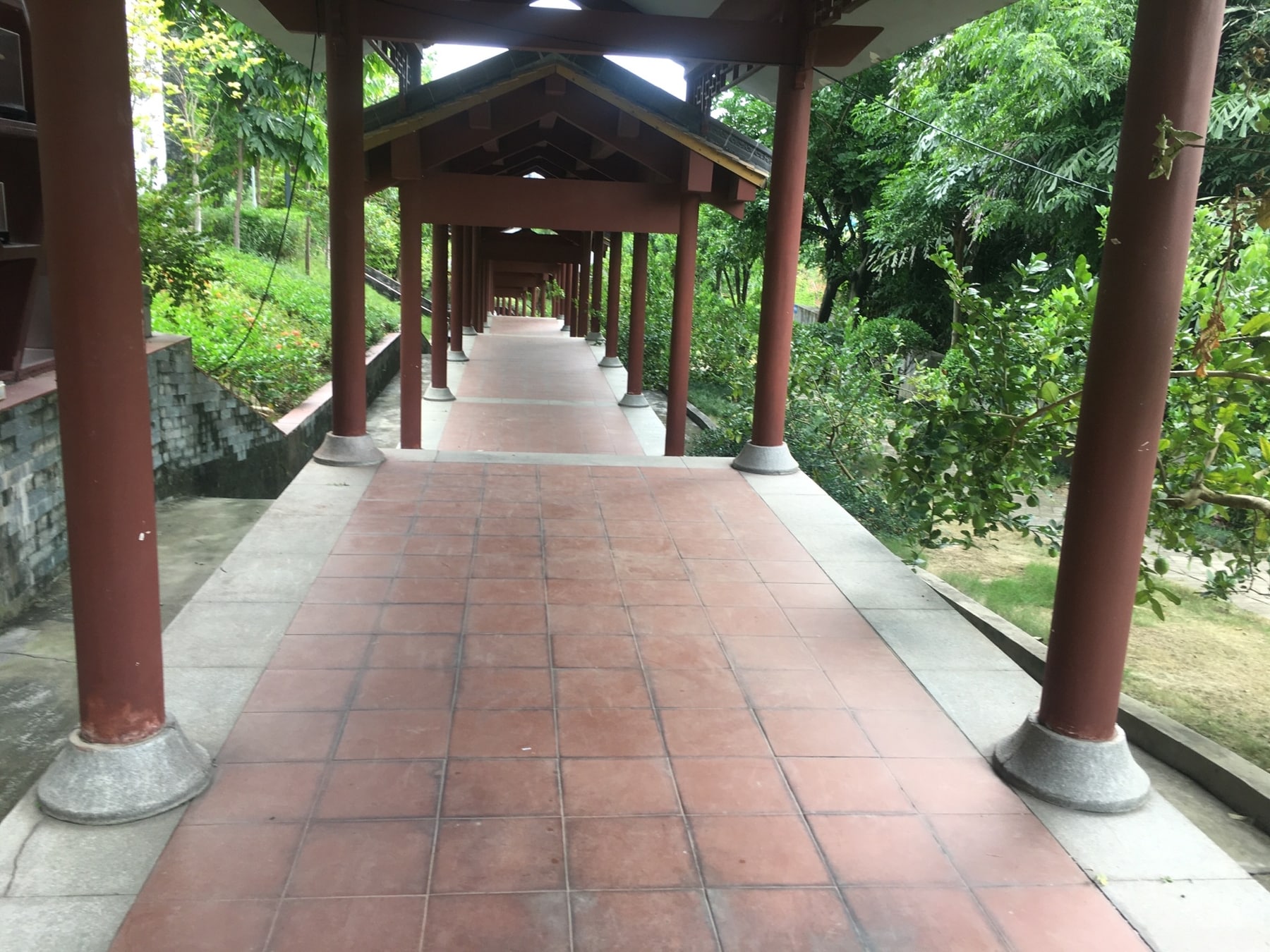 广州神农草堂中医药博物馆景点图片 6