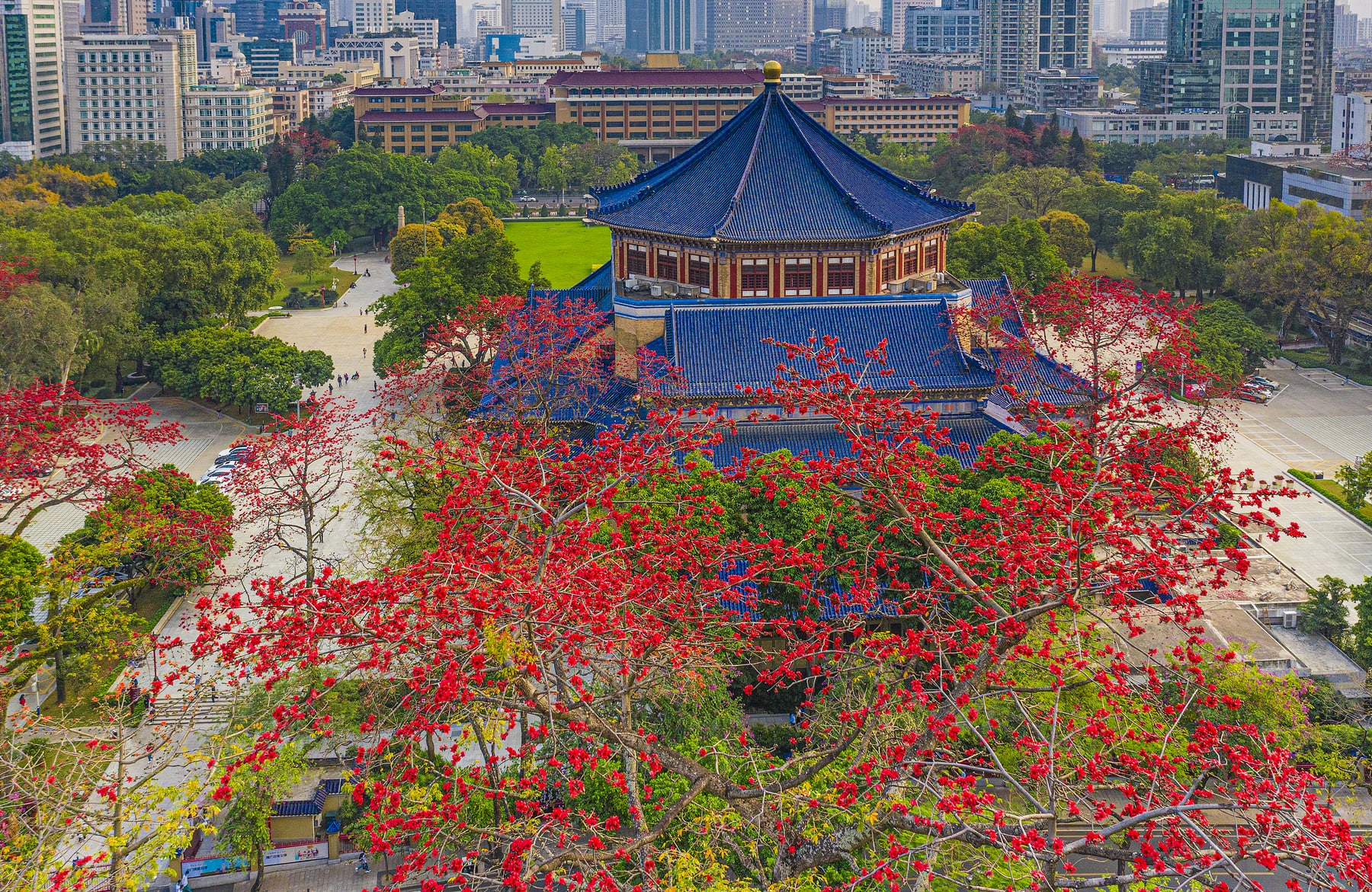 中山纪念堂景点图片 2