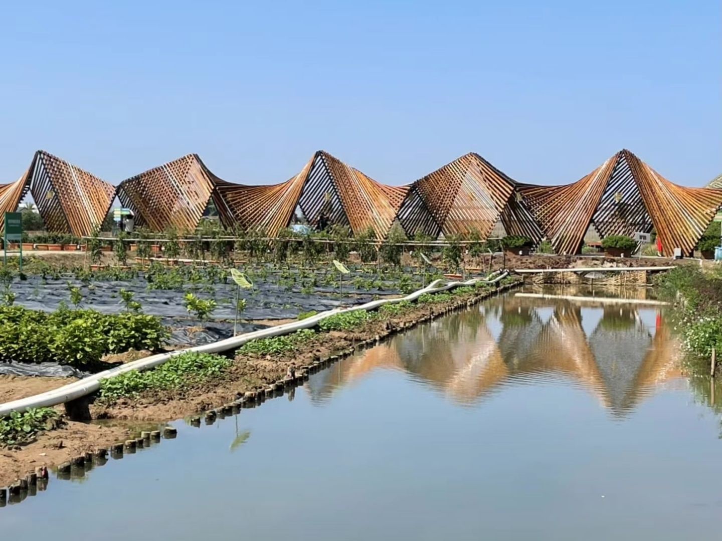 湾区都市农业公园景点图片 1