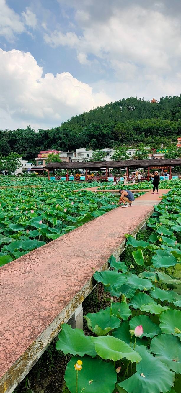 梯面红山村景点图片 8