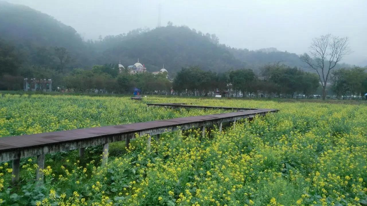 梯面红山村景点图片 3