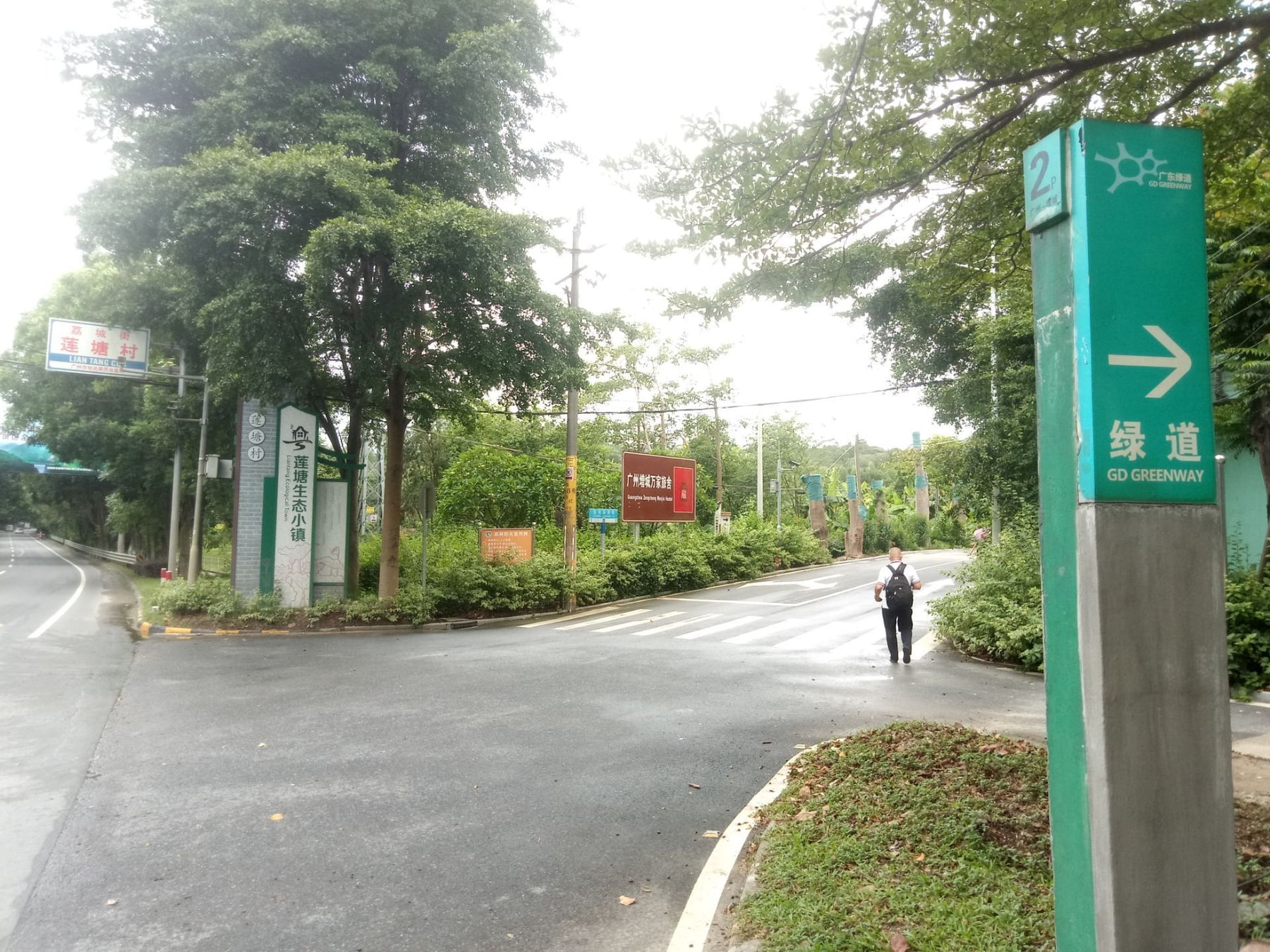 莲塘春色休闲景点图片 3