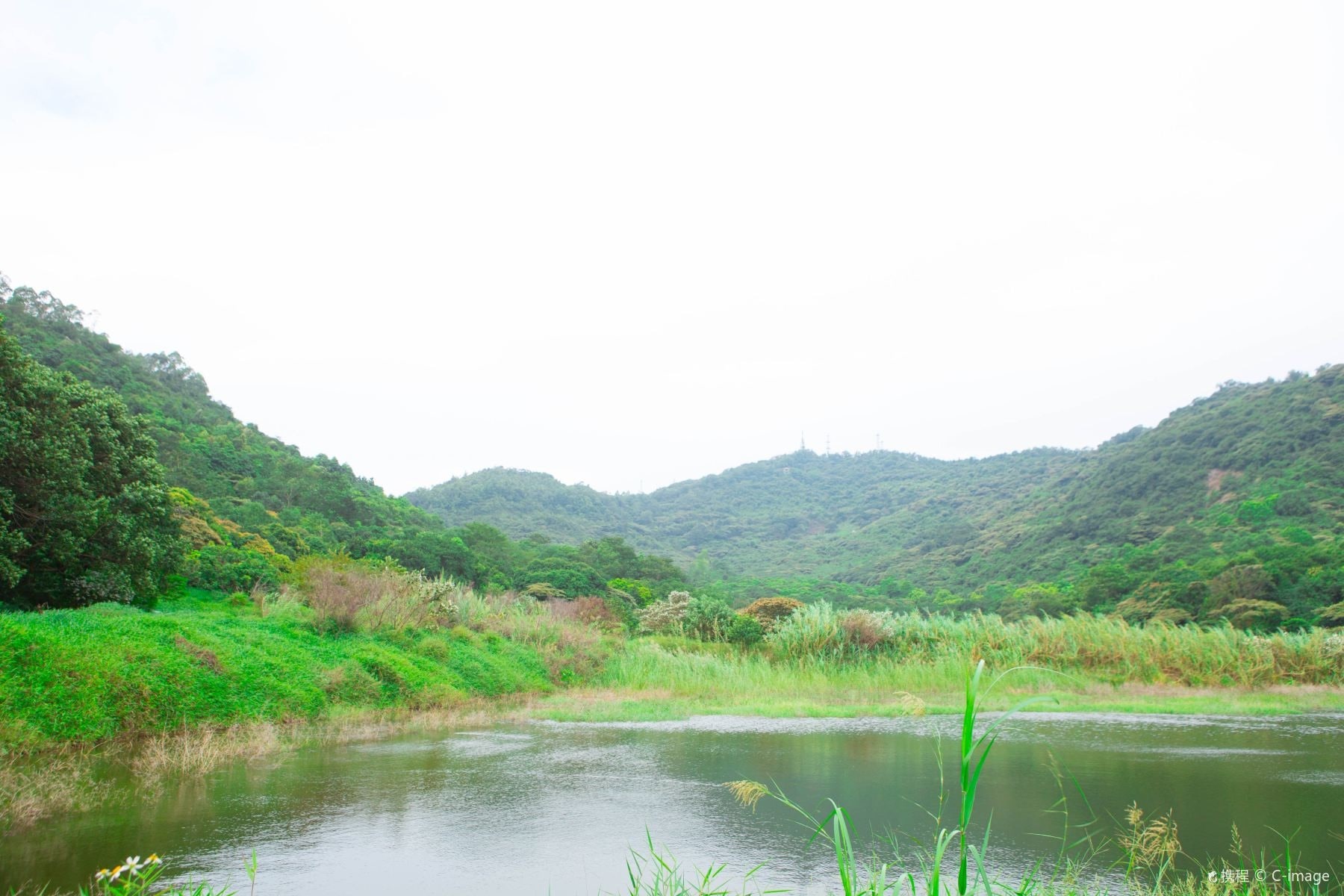 黄山鲁森林公园景点图片 8