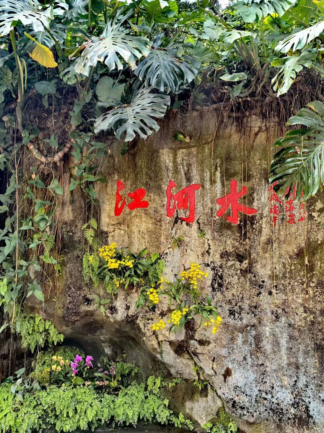 广州兰圃景点图片 3