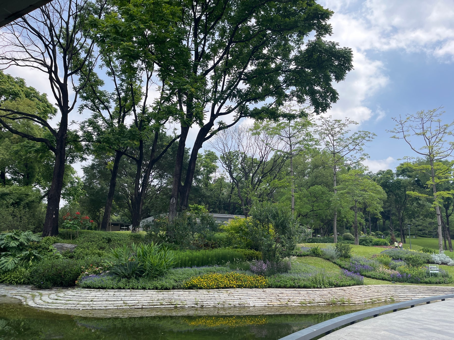 云溪植物园景点图片 5