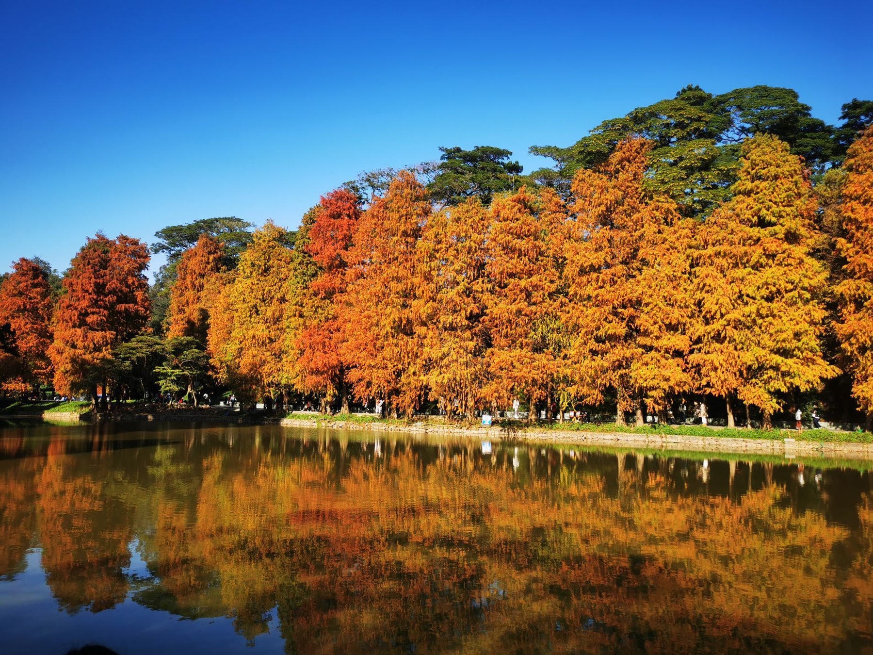天河公园景点图片 4