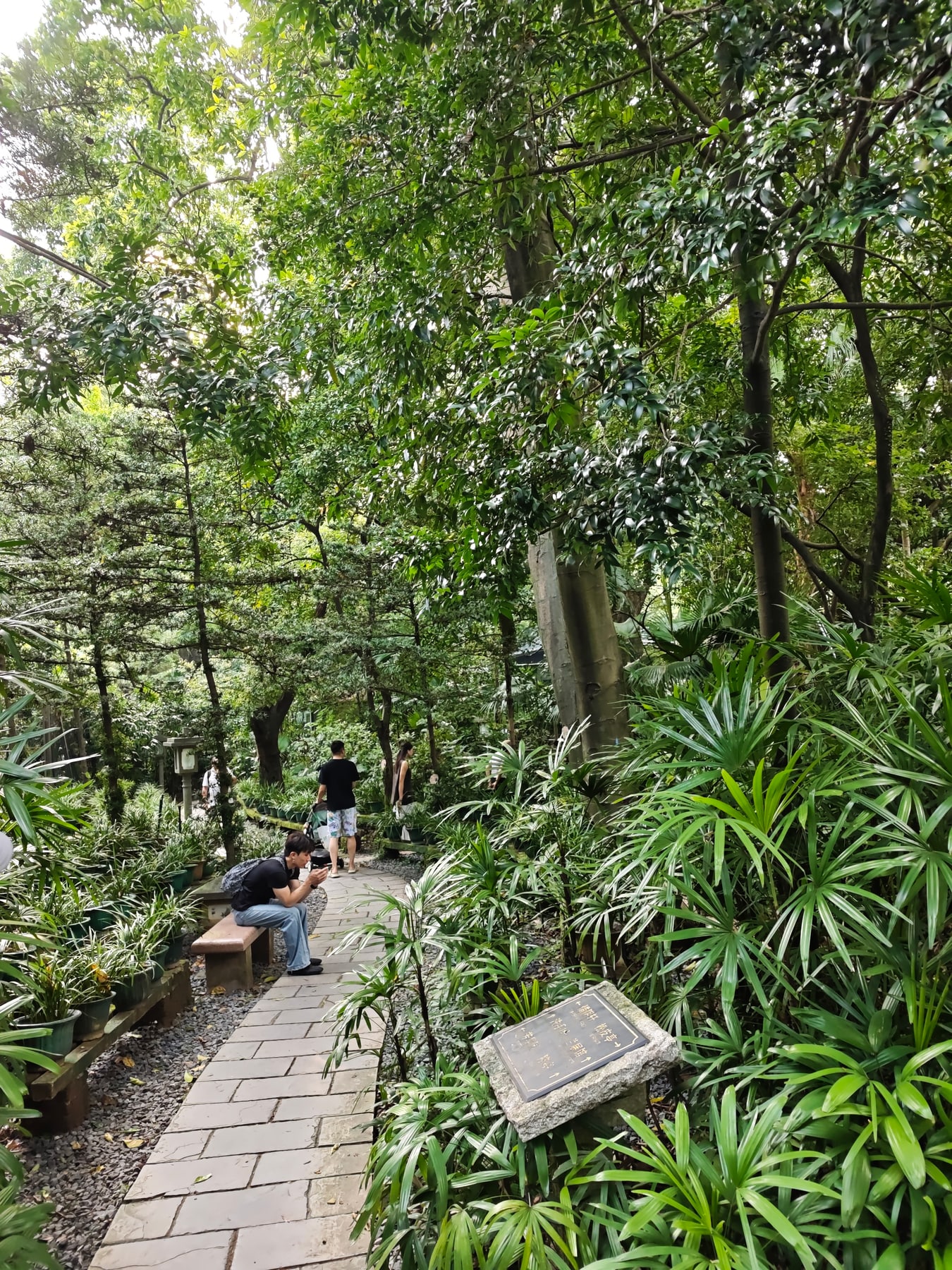 广州兰圃景点图片 7