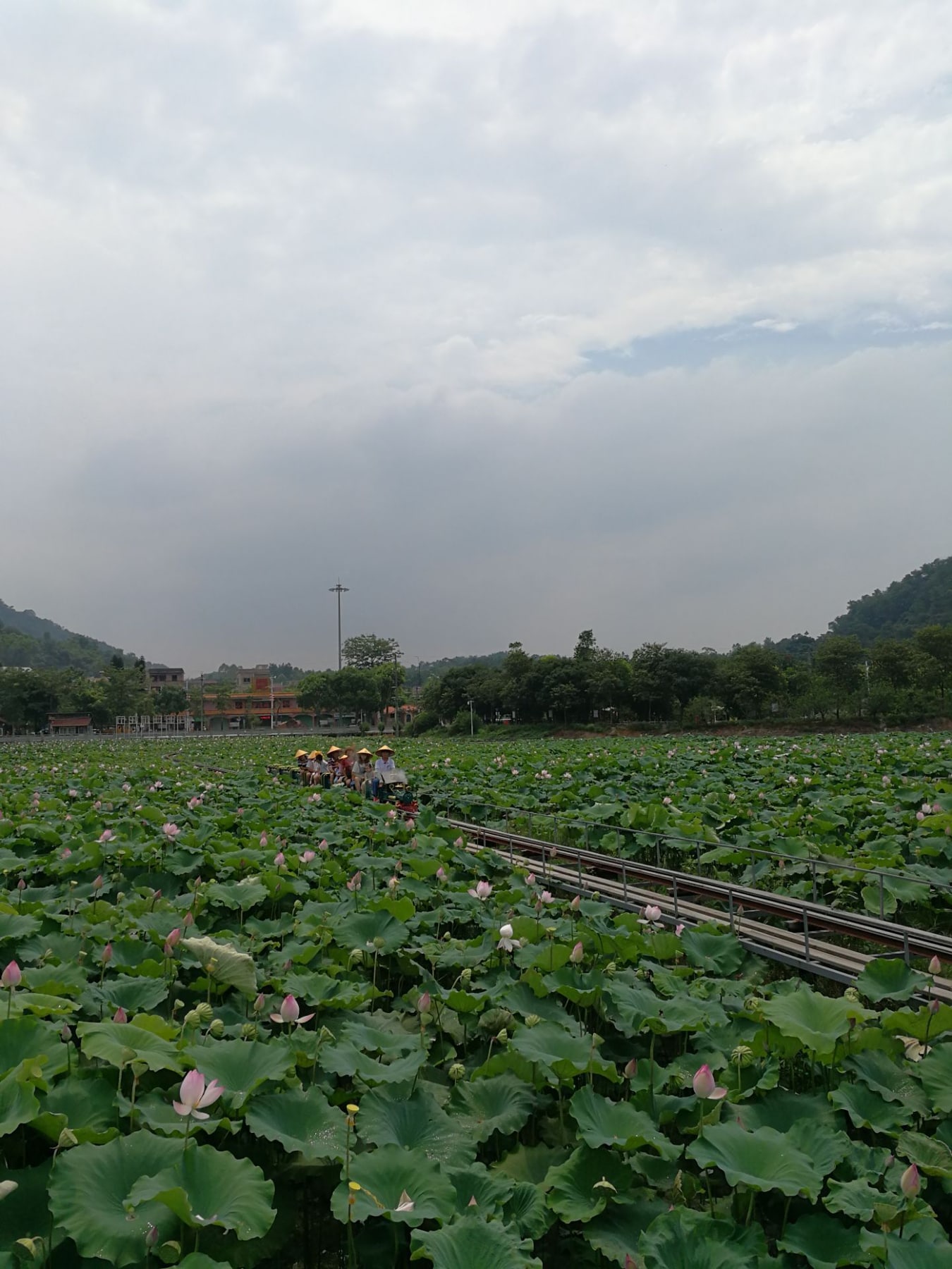 梯面红山村景点图片 10