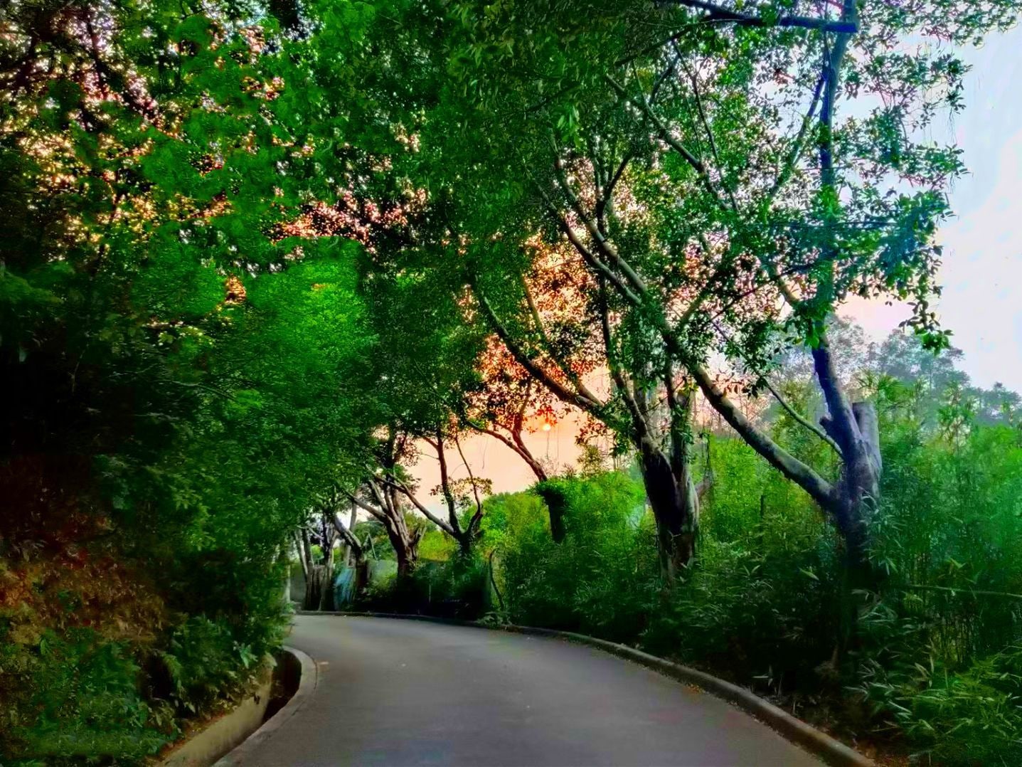 龙洞森林公园景点图片 8