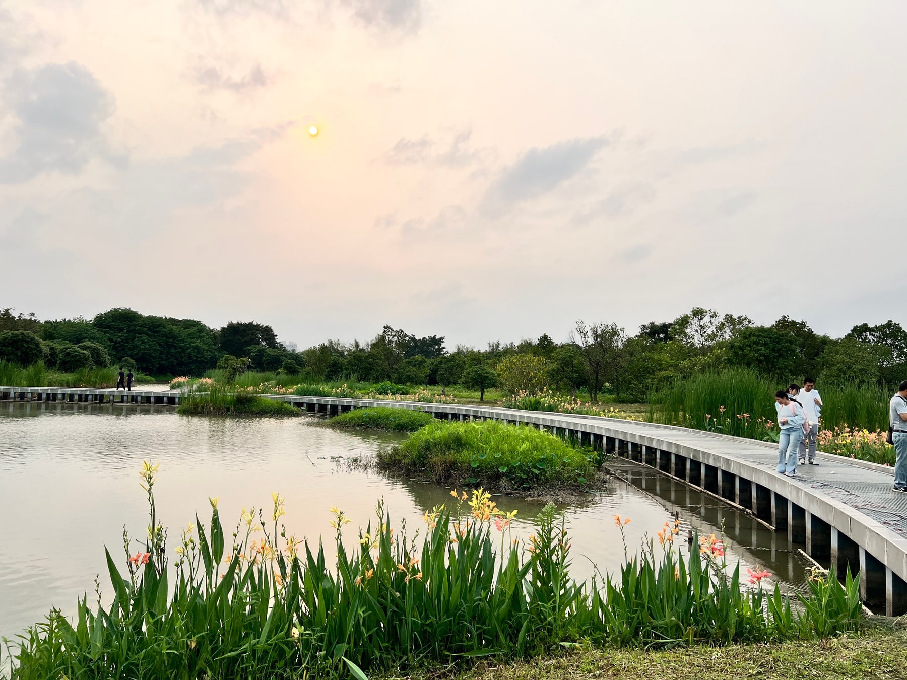 海珠国家湿地公园景点图片 7