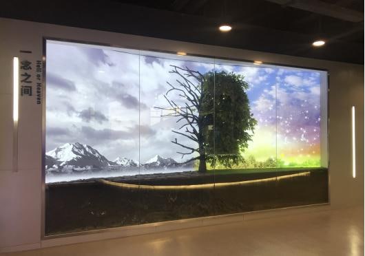 赤坭循环经济园景点图片 9