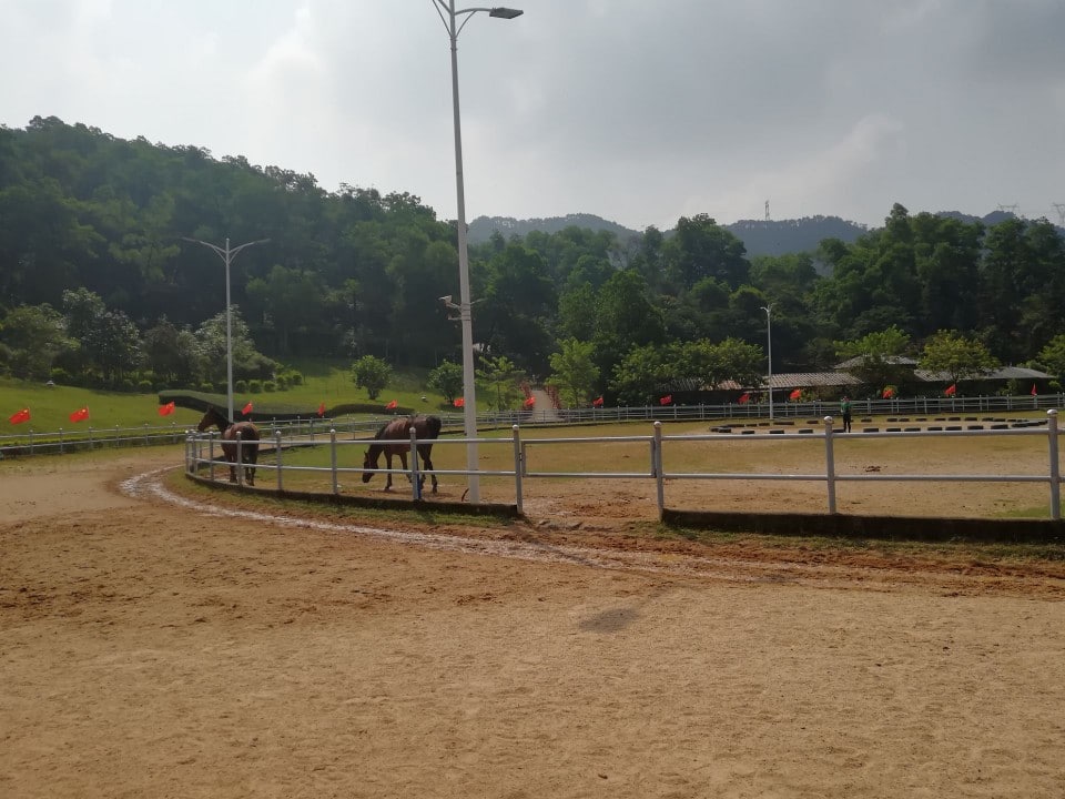 花都御盛国际马术庄园景点图片 4