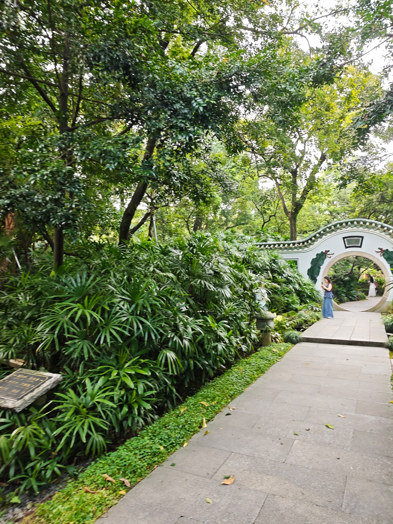 广州兰圃景点图片 6