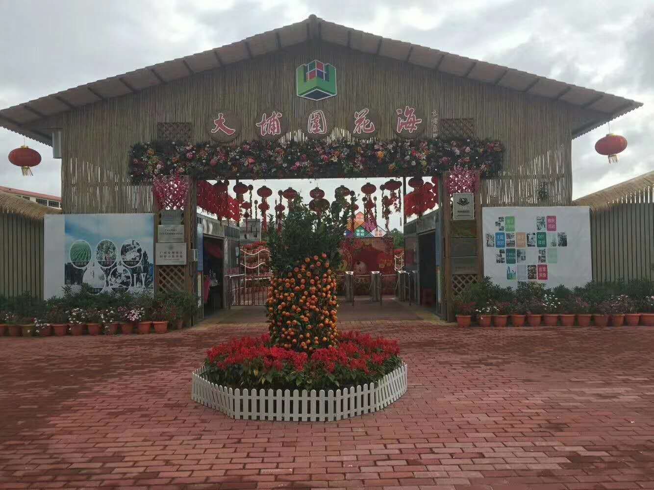 大埔围美丽乡村景点图片 9