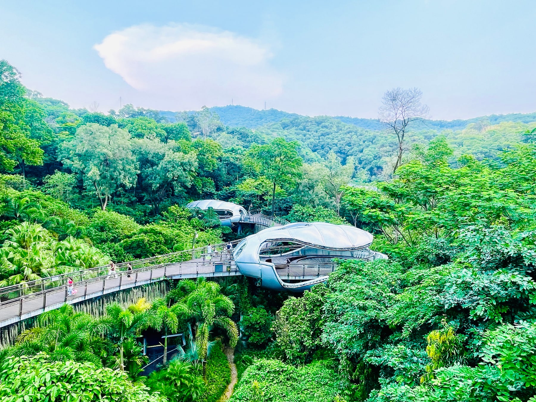 白云山景点图片 9