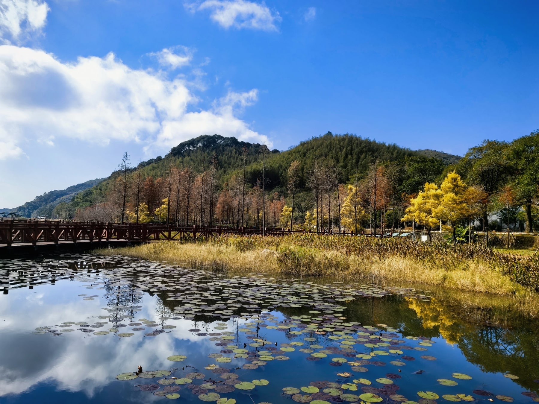 石门国家森林公园景点图片 3