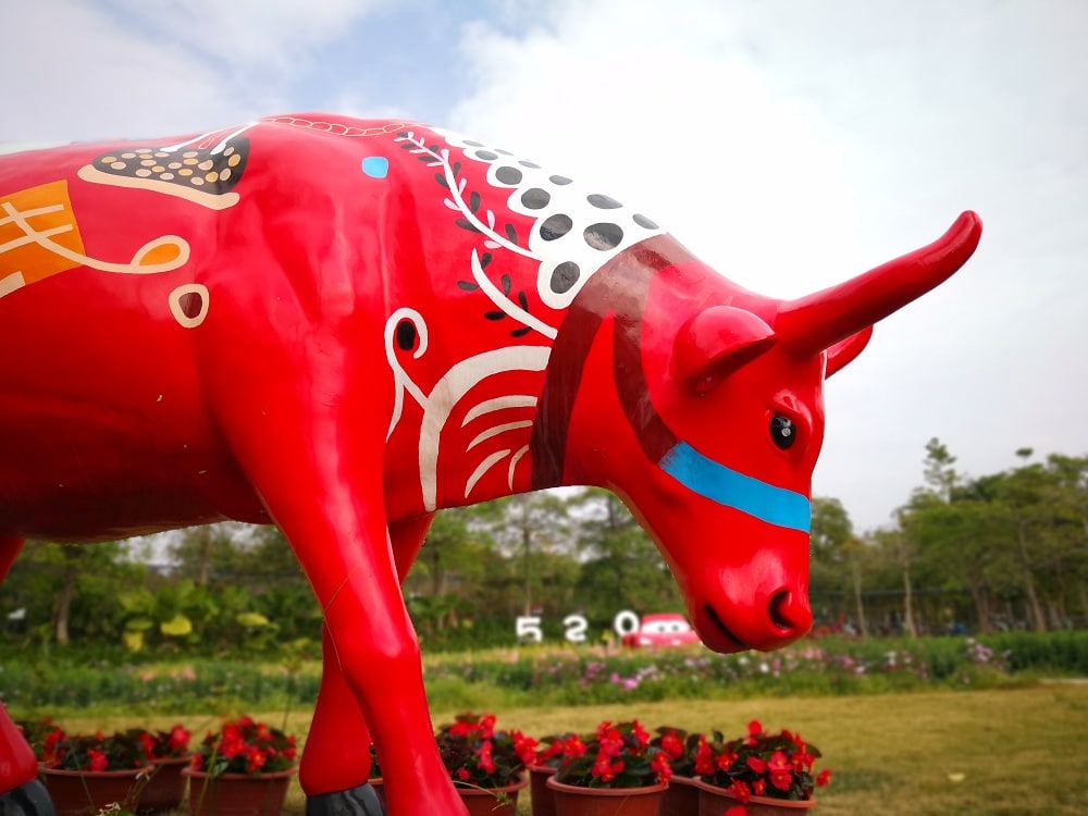 从化宝趣玫瑰世界景点图片 3