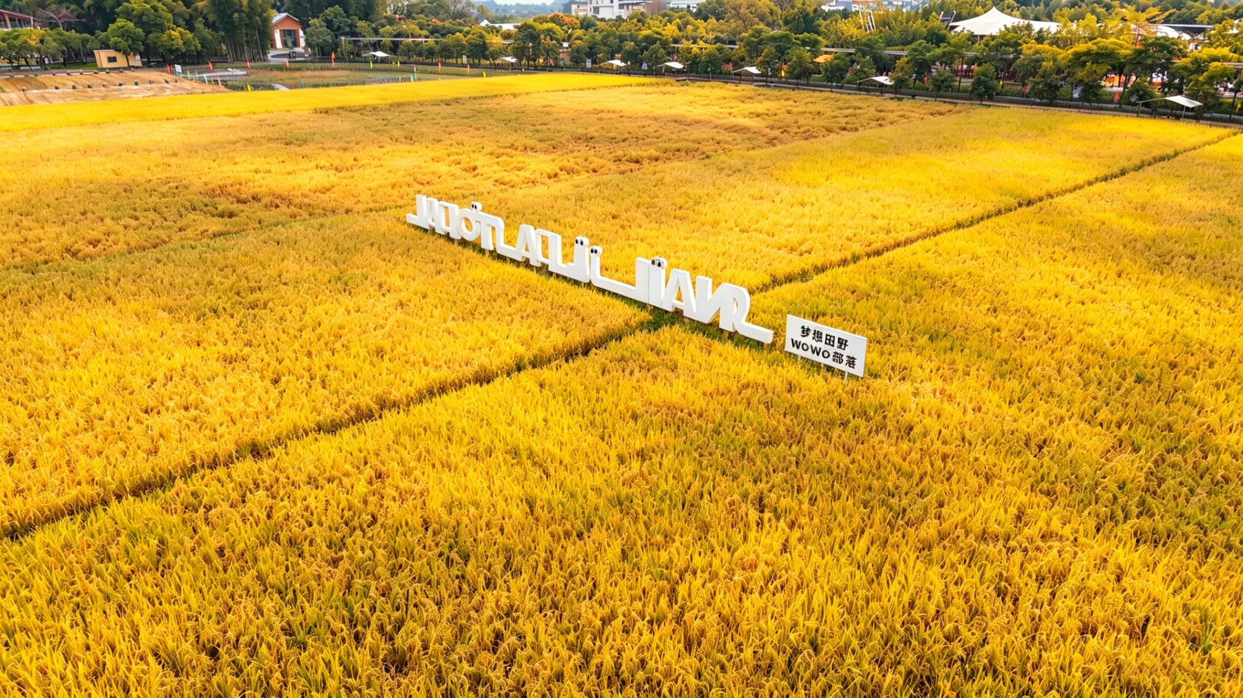北纬23°8'森林营地景点图片 2