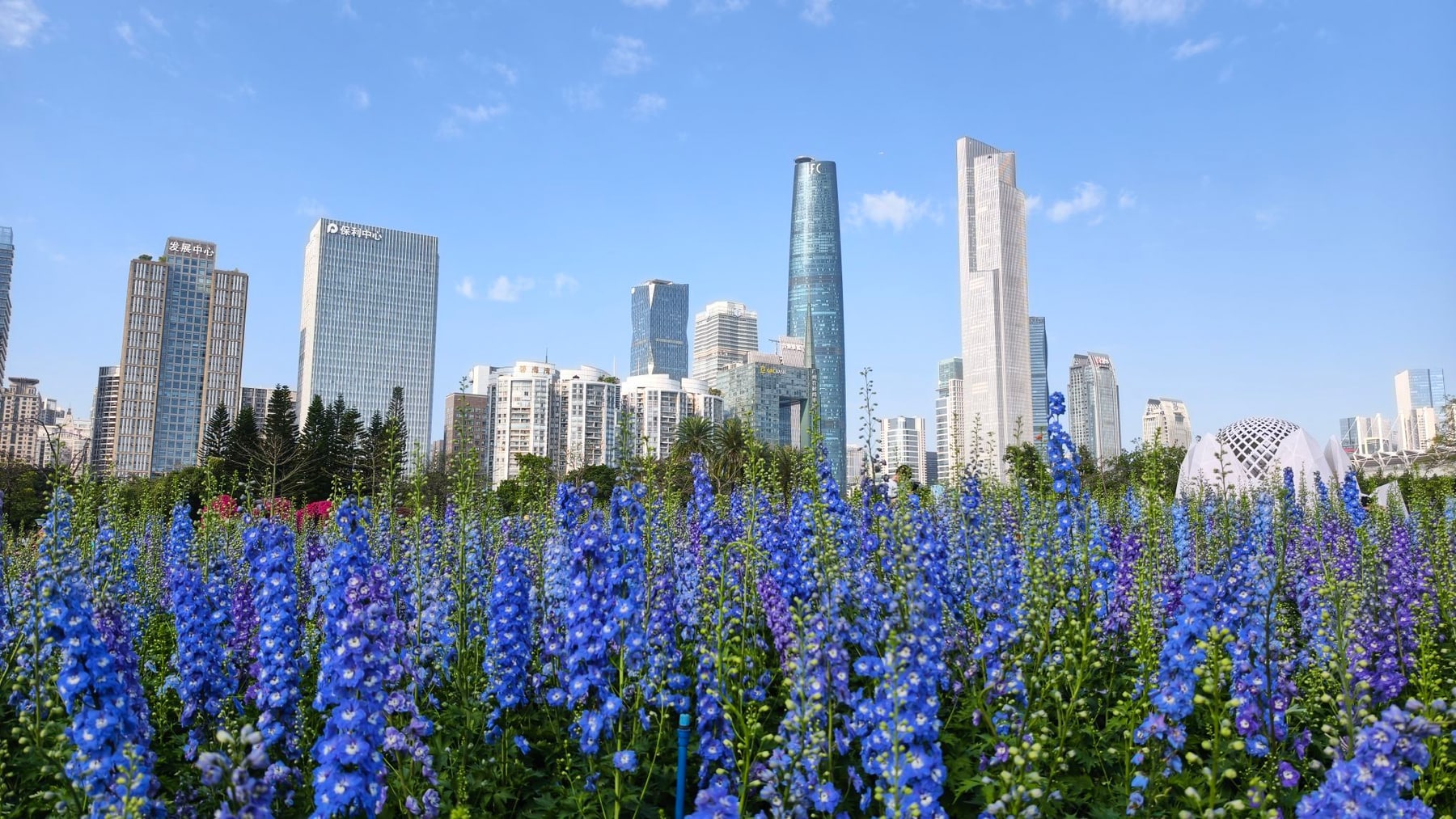 宏城公园景点图片 2