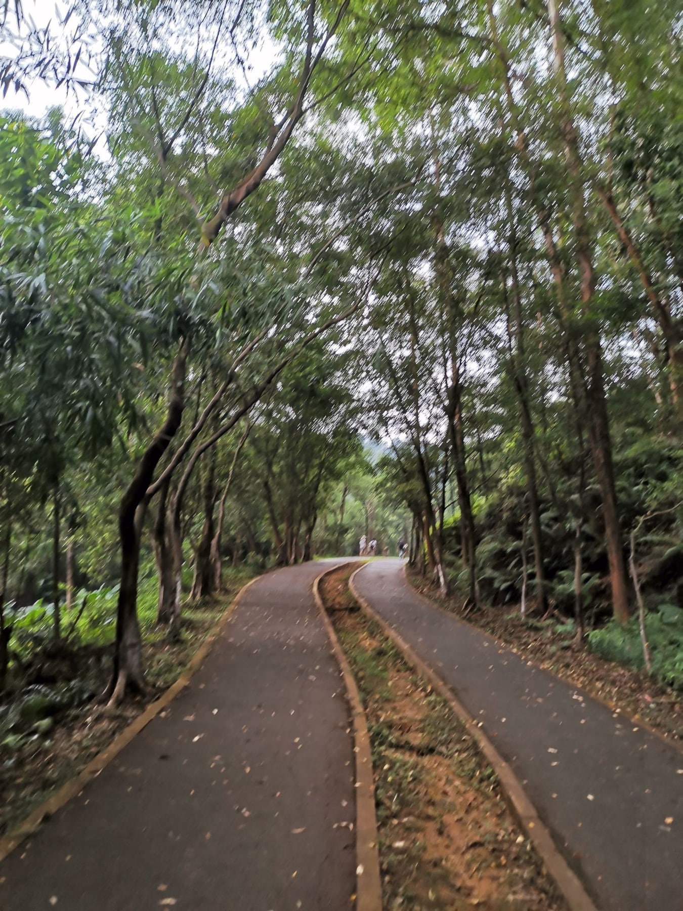 十八罗汉山森林公园景点图片 5