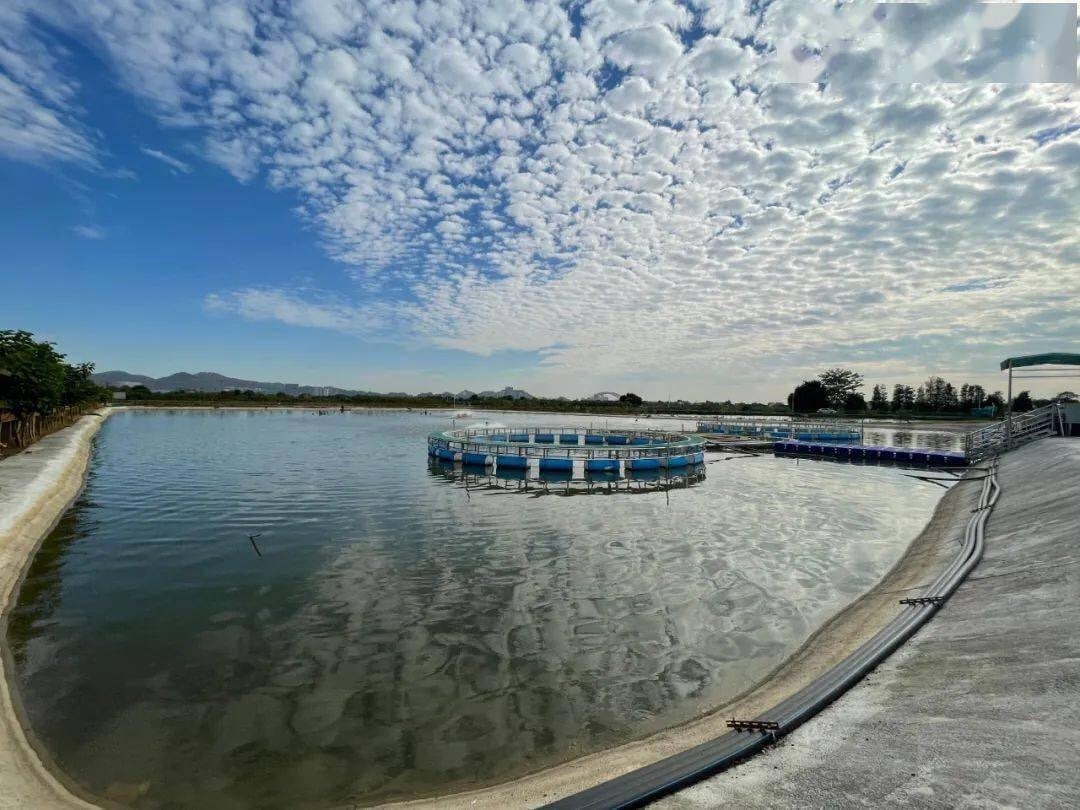 湾区都市农业公园景点图片 2