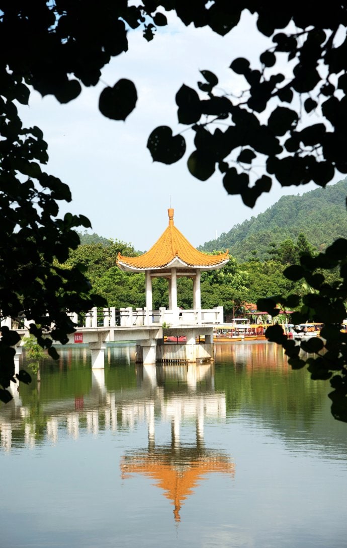大夫山森林公园景点图片 10