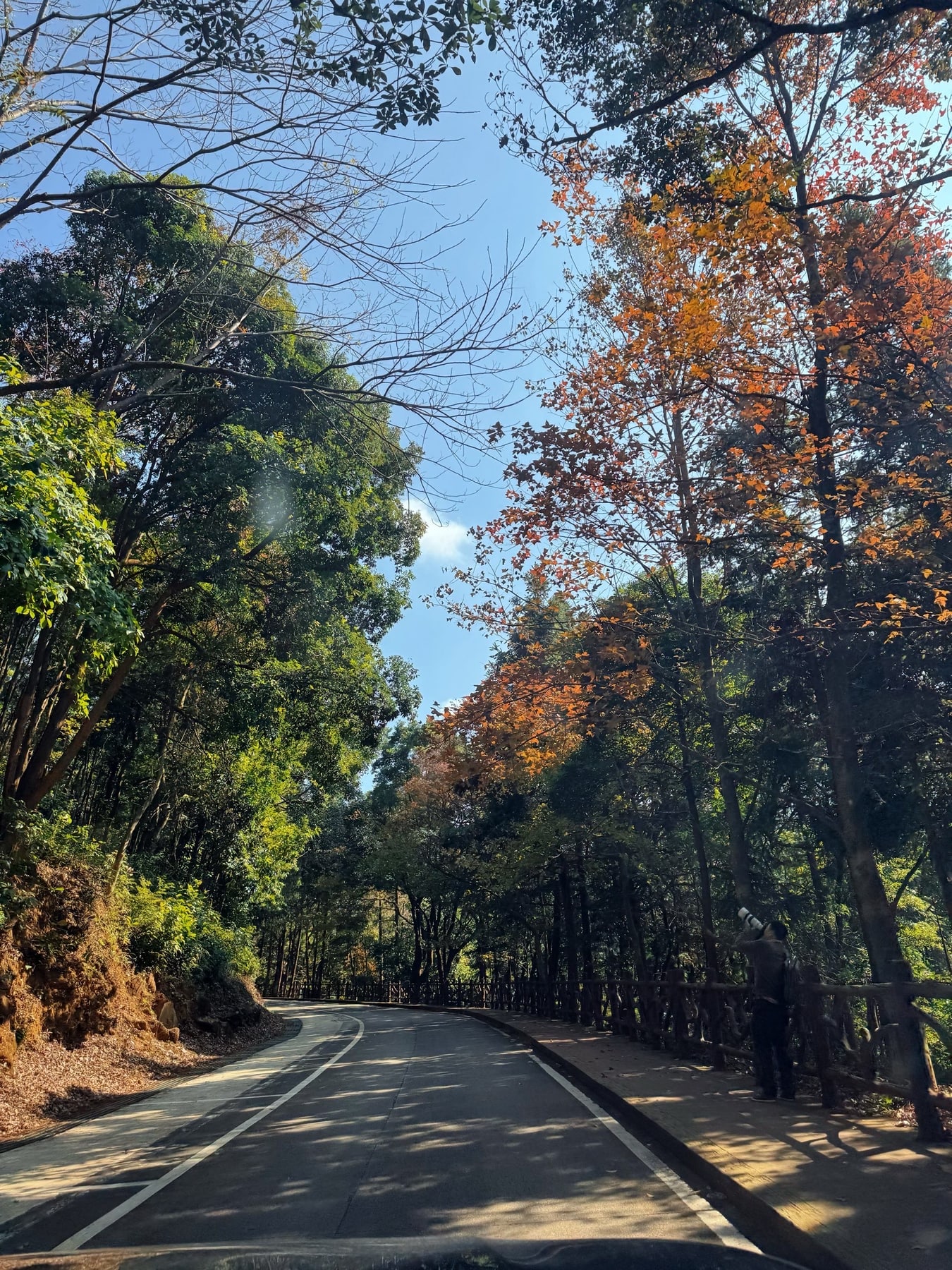 石门国家森林公园景点图片 4