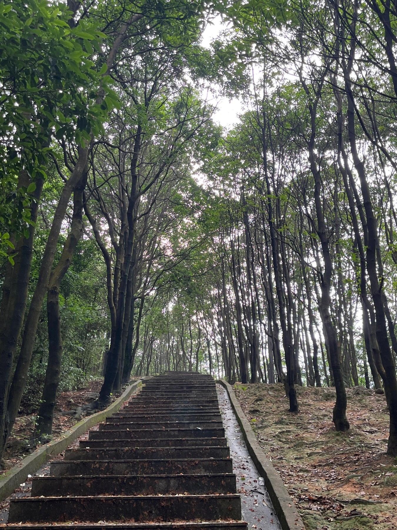 火炉山森林公园景点图片 4