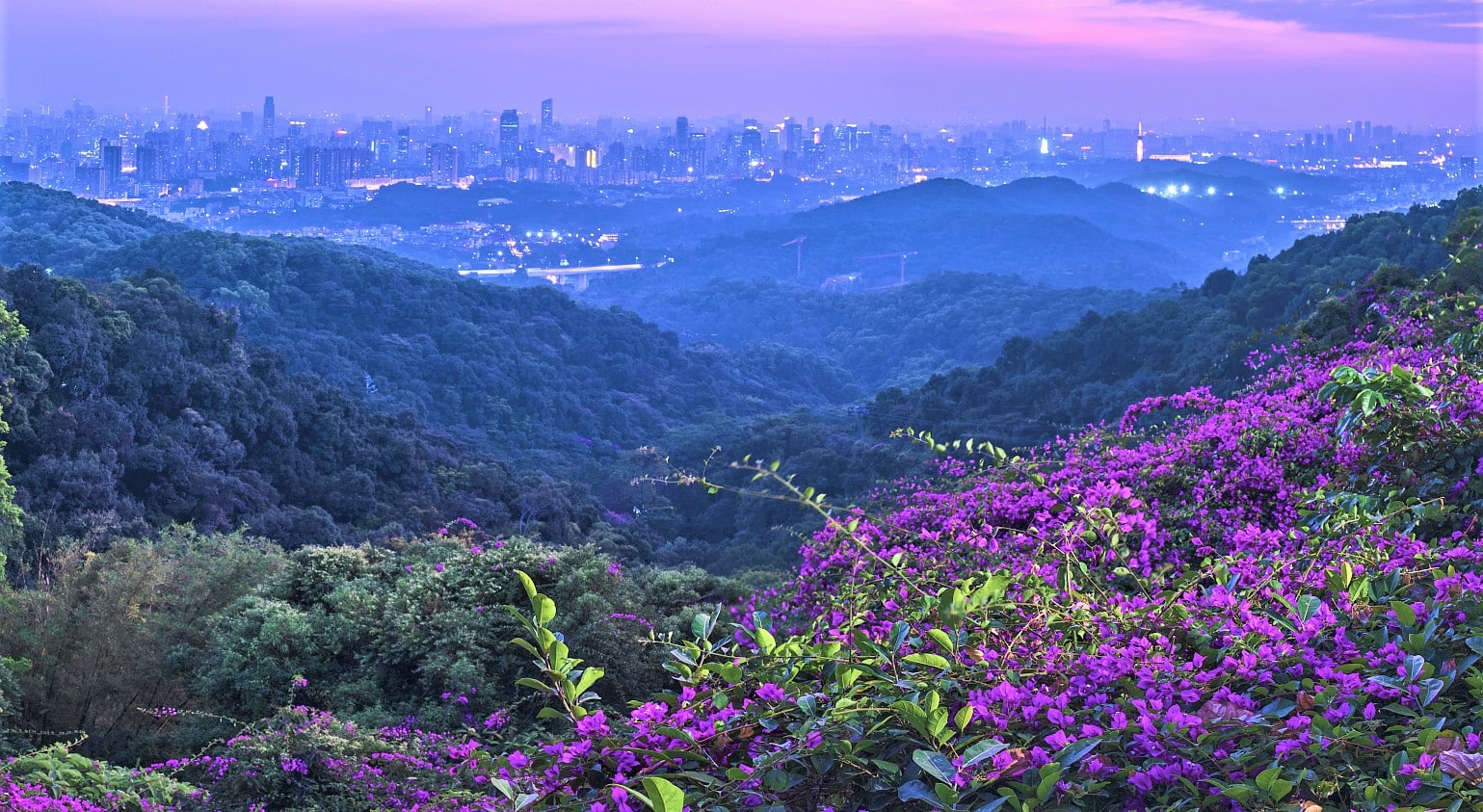 白云山景点图片 3