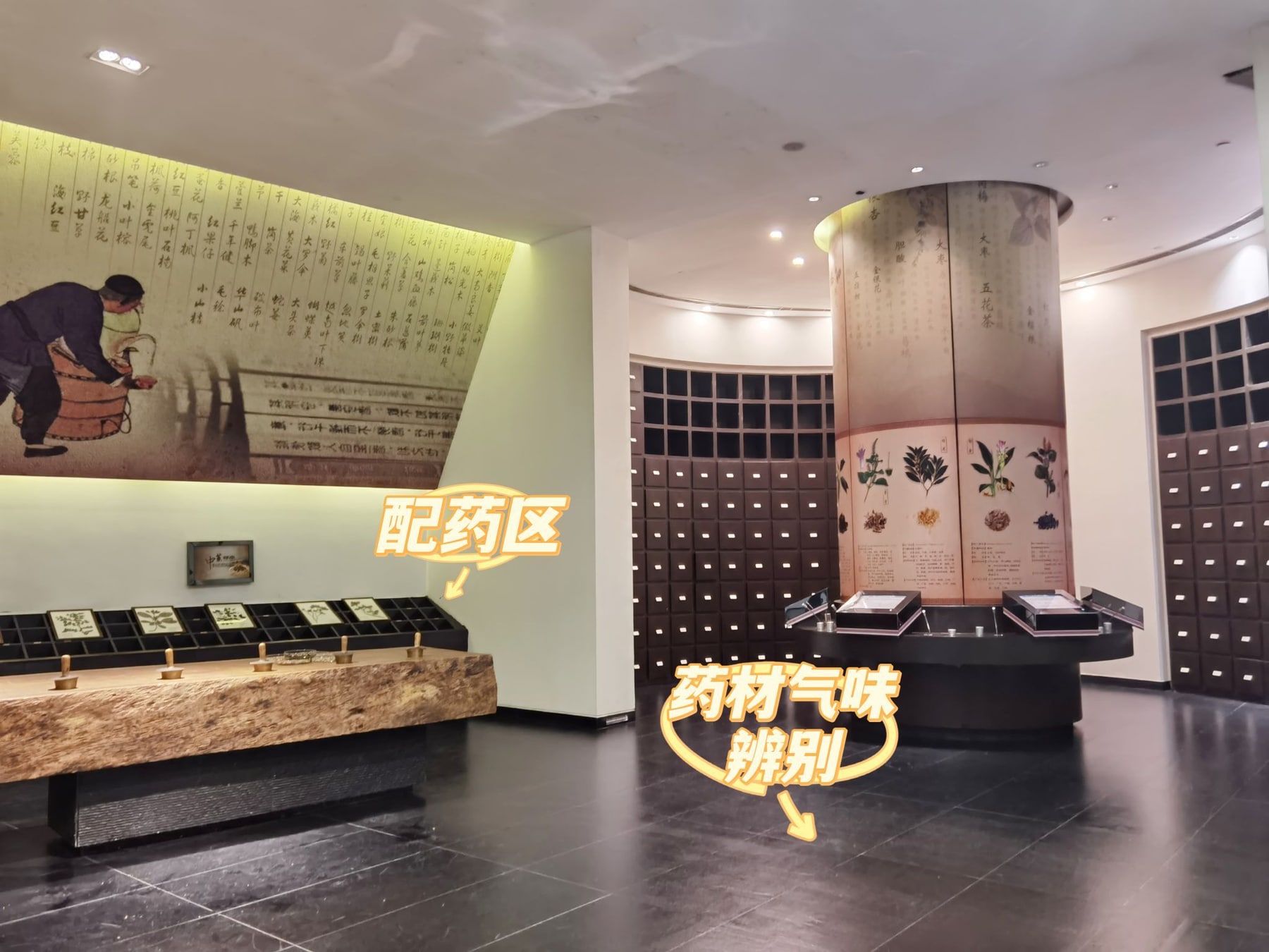 广东省凉茶博物馆景点图片 7