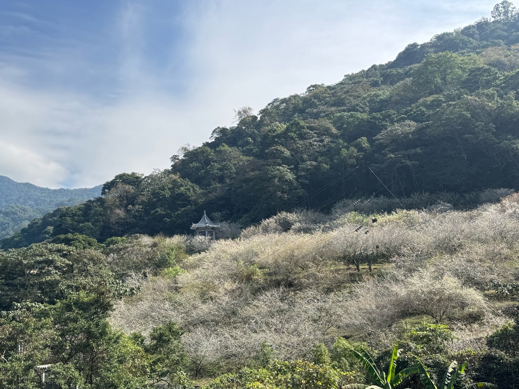石门国家森林公园景点图片 5