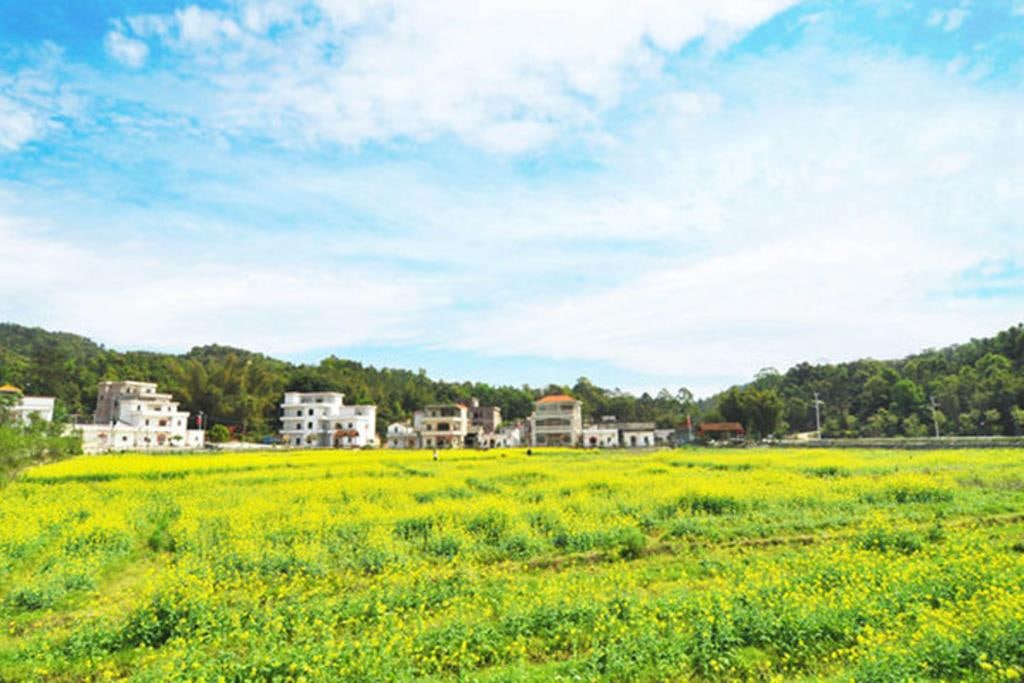 梯面红山村景点图片 2
