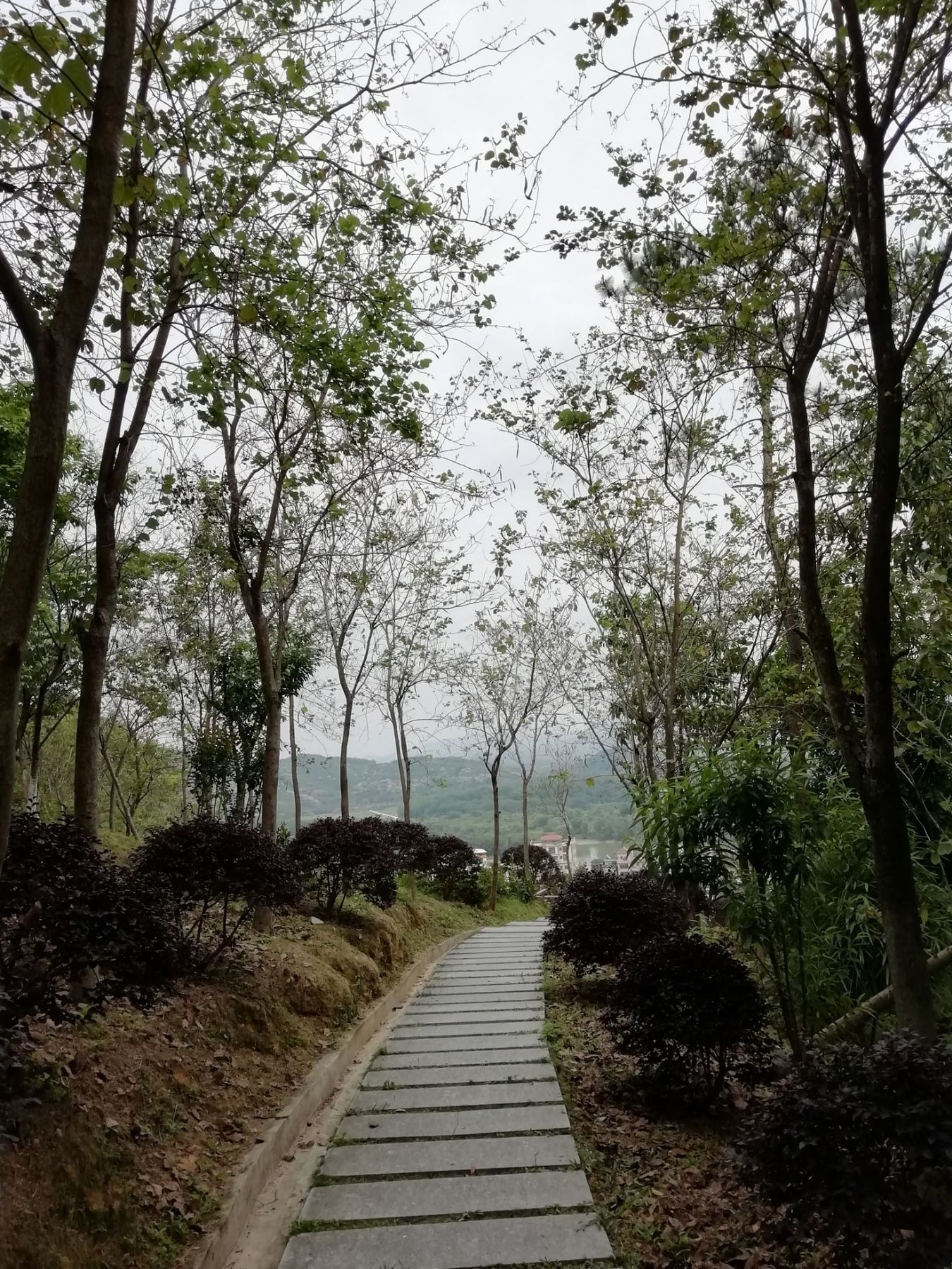 增城何仙姑景点图片 7