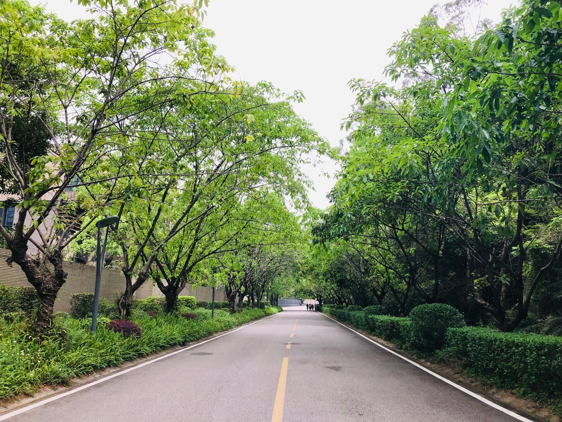 九龙湖旅游度假区景点图片 10