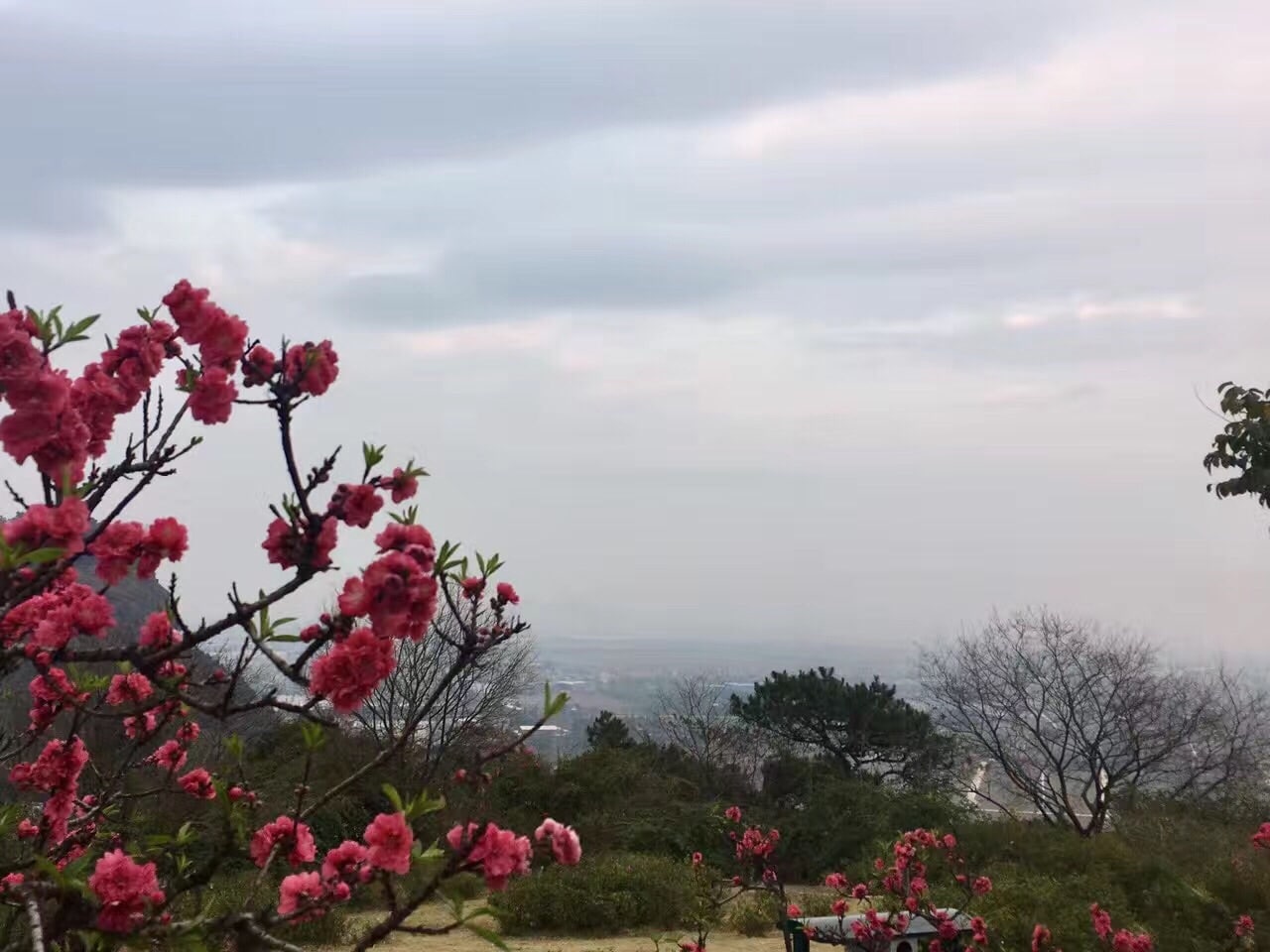 十八罗汉山森林公园景点图片 4