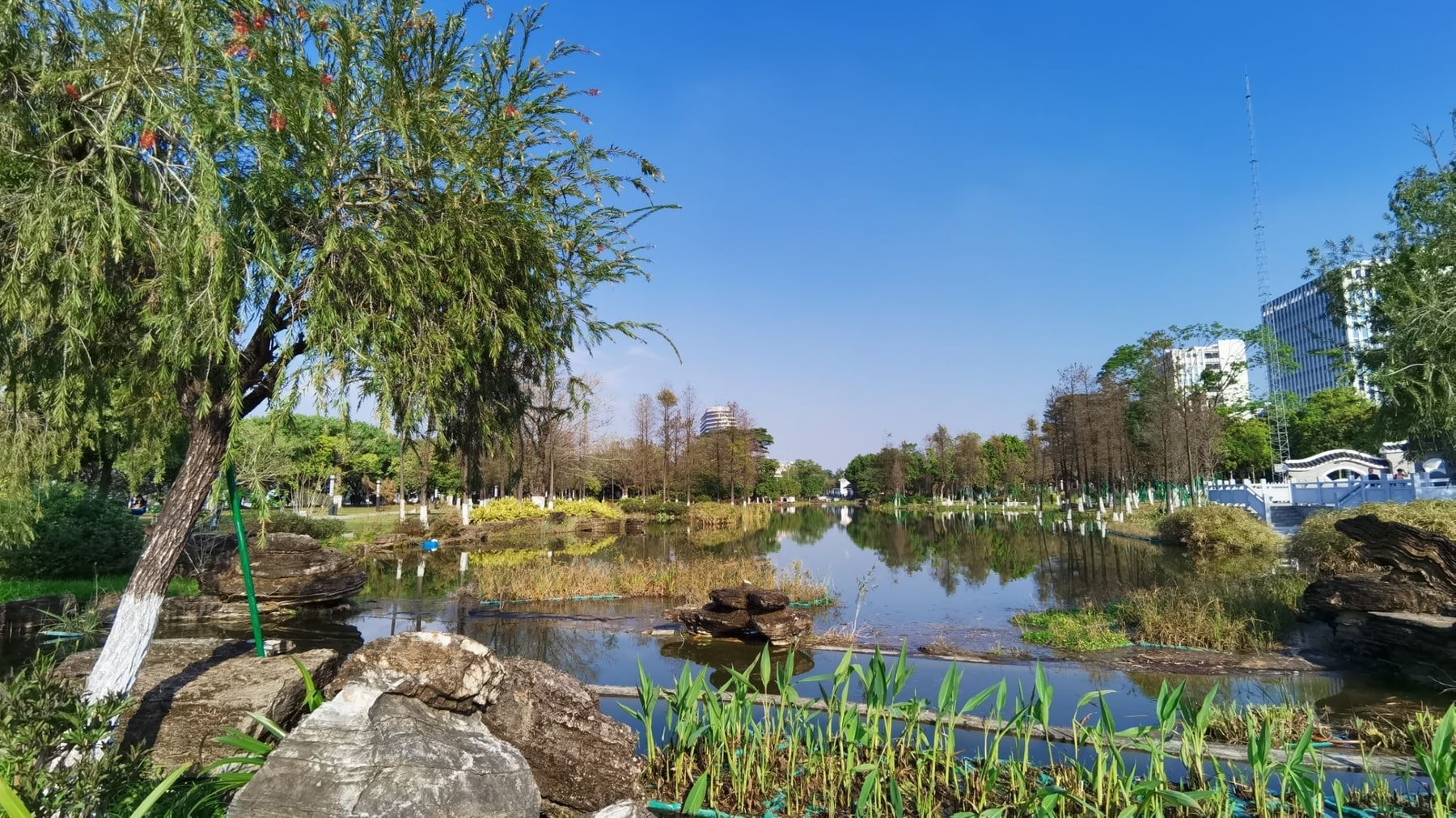 广州国际生物岛景点图片 9