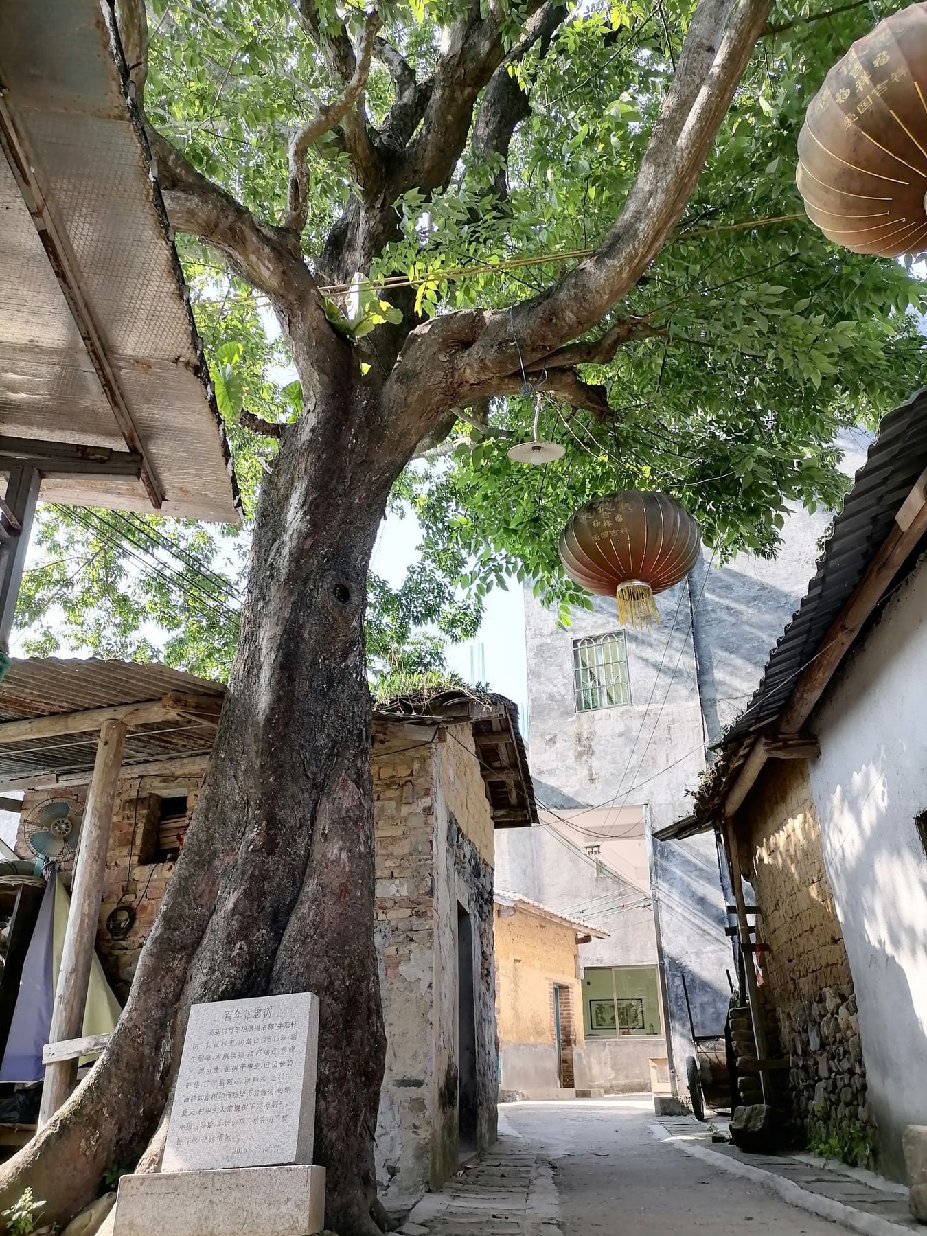 溪头村景点图片 7
