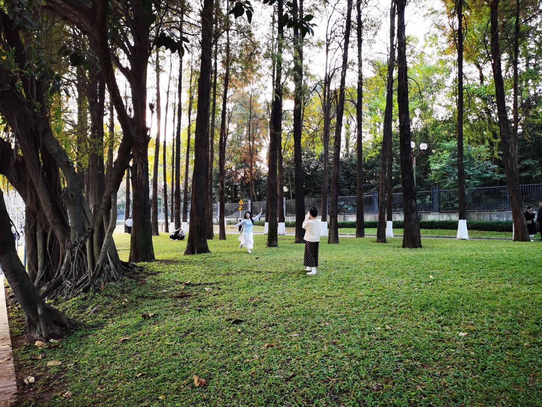 麓湖公园景点图片 10
