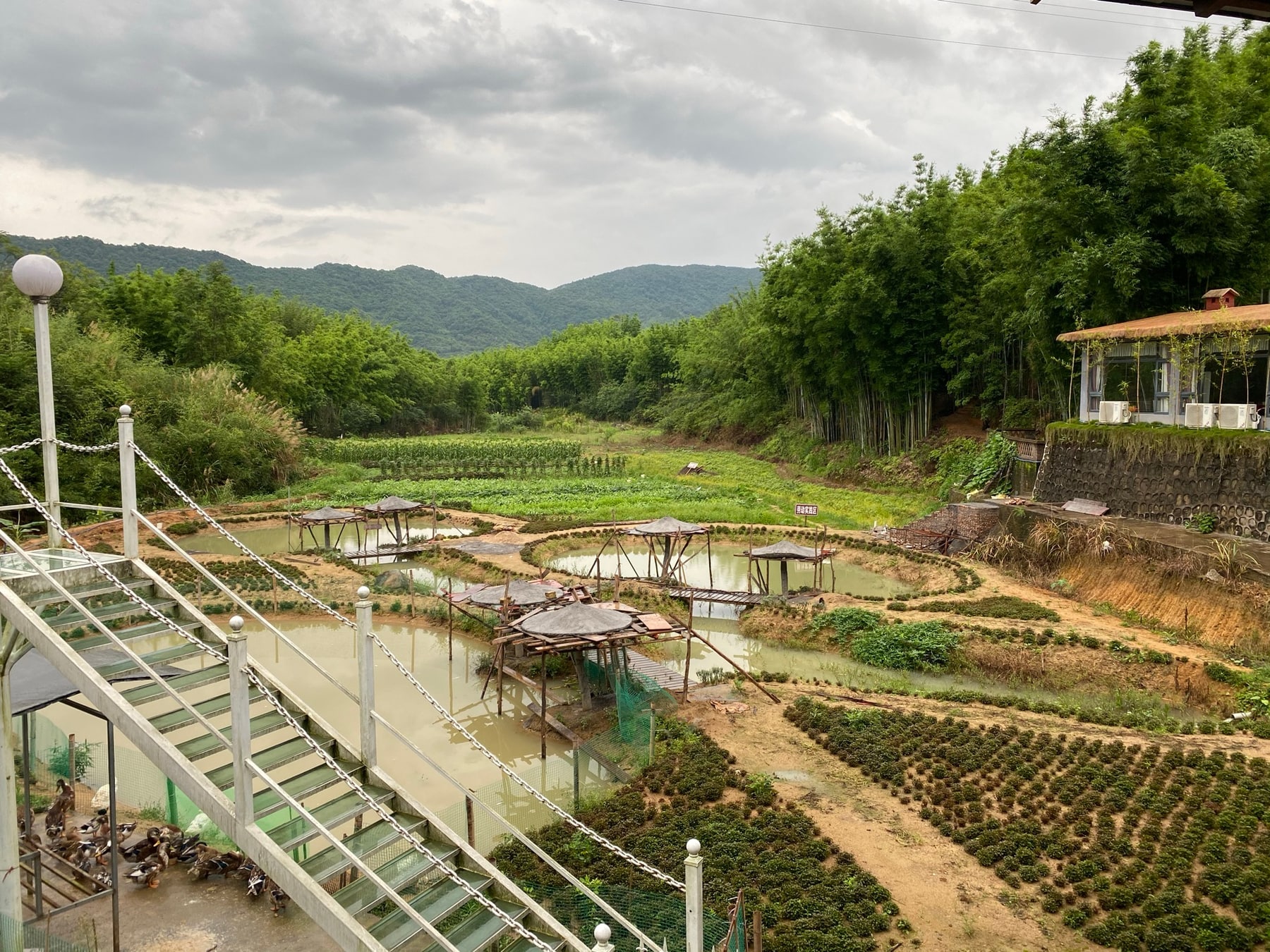 香蜜山生态景点图片 11