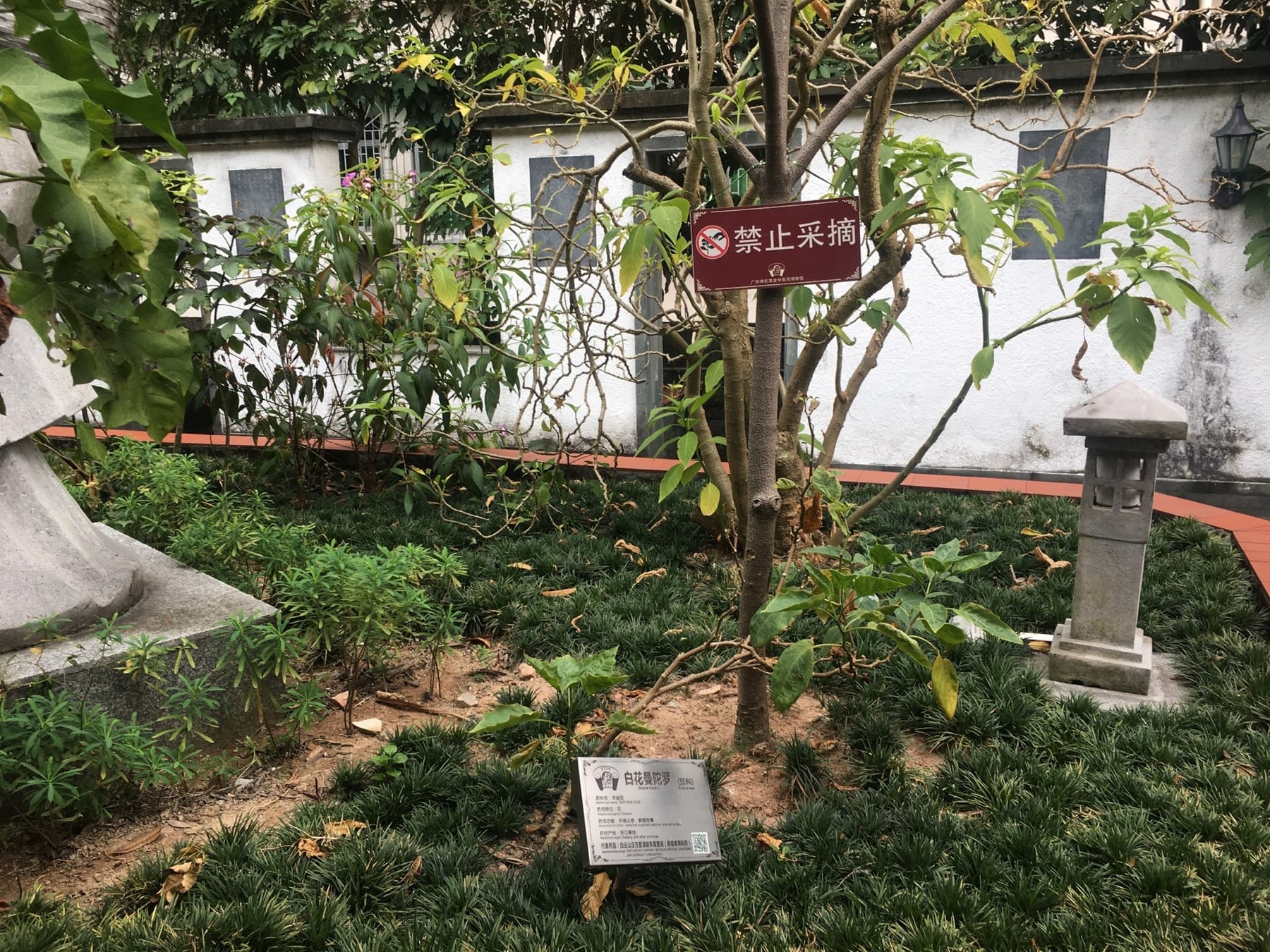 广州神农草堂中医药博物馆景点图片 9