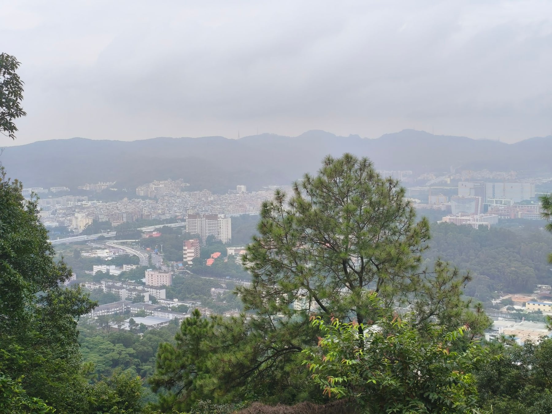 火炉山森林公园景点图片 2
