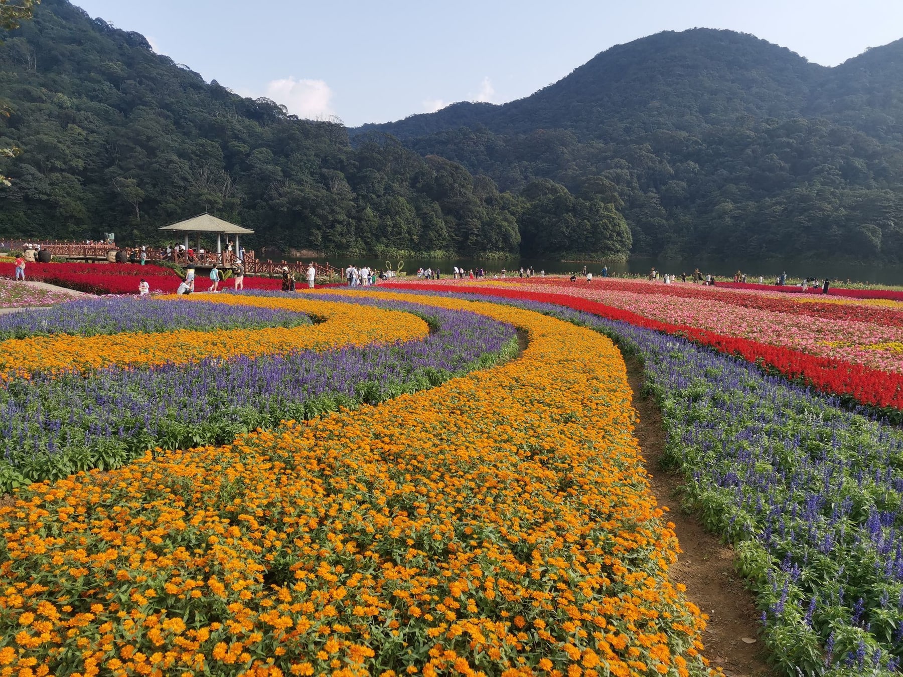 石门国家森林公园景点图片 2