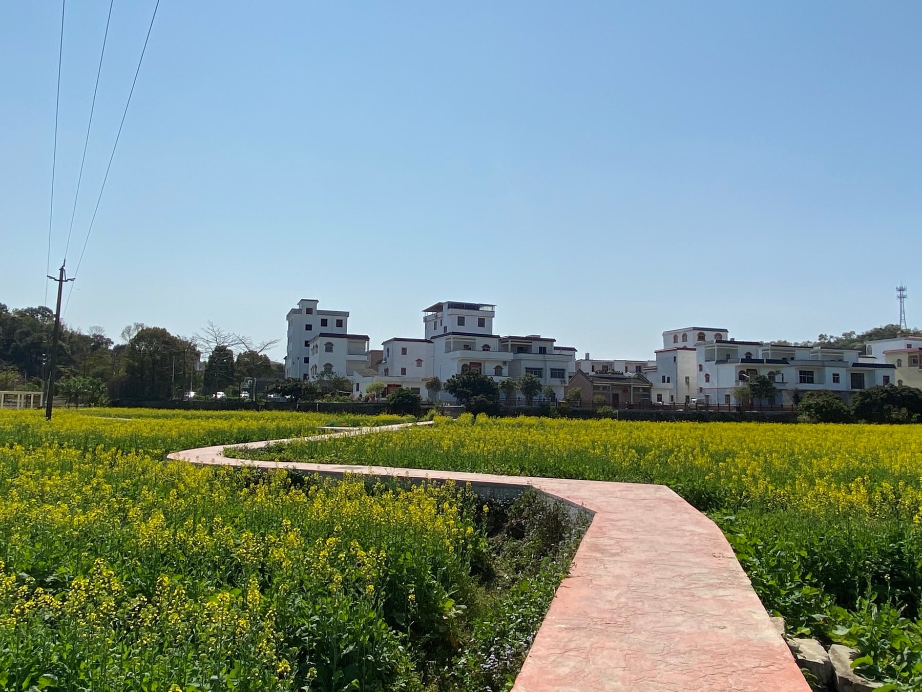 梯面红山村景点图片 11