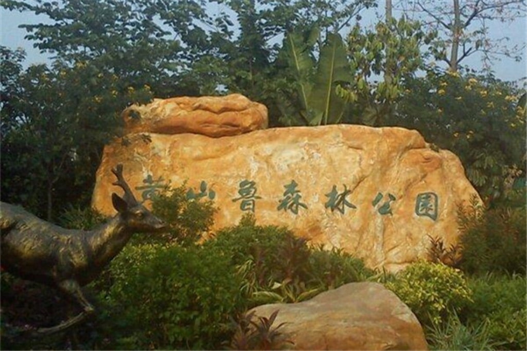 黄山鲁森林公园