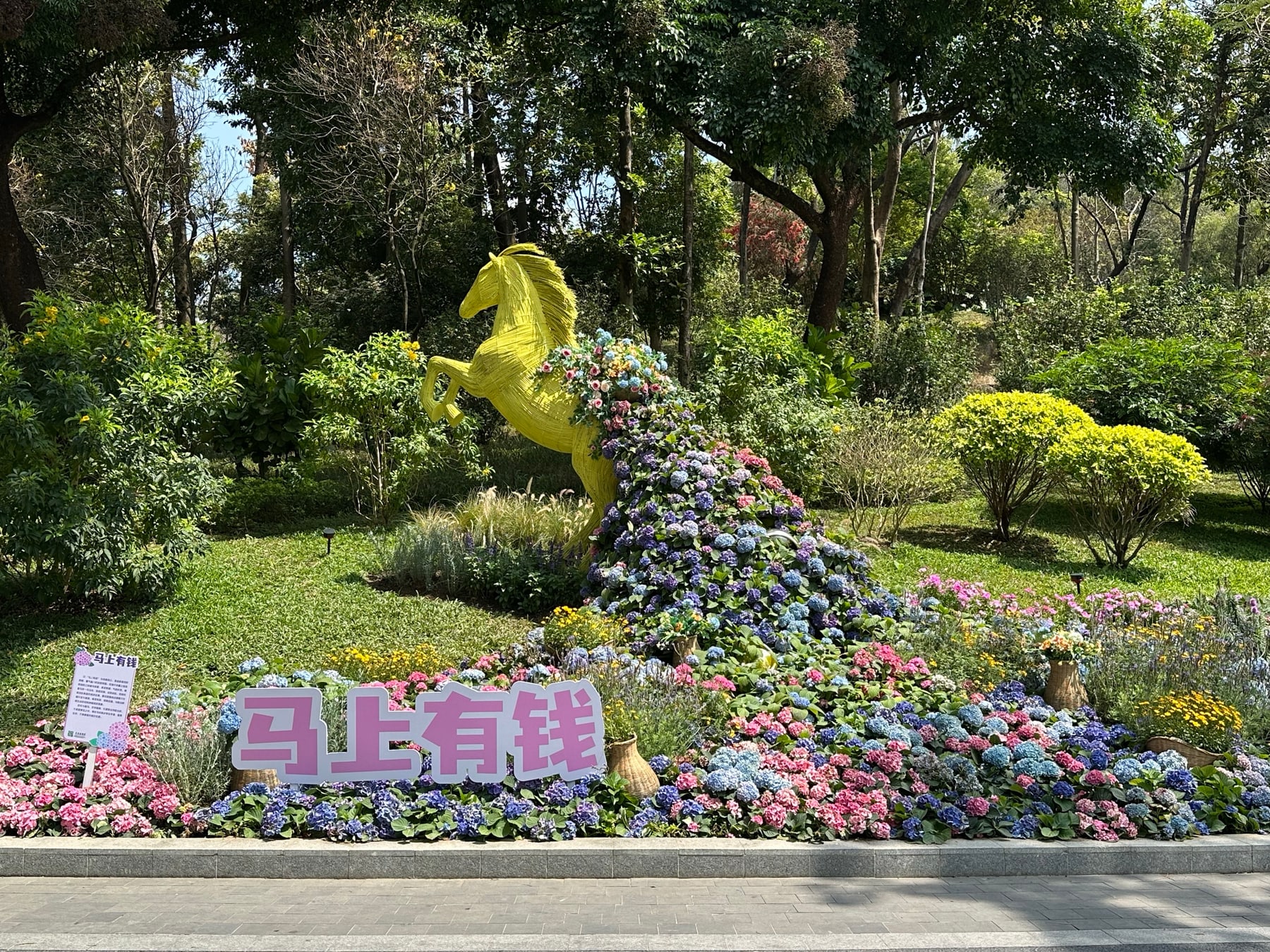 云溪植物园景点图片 3