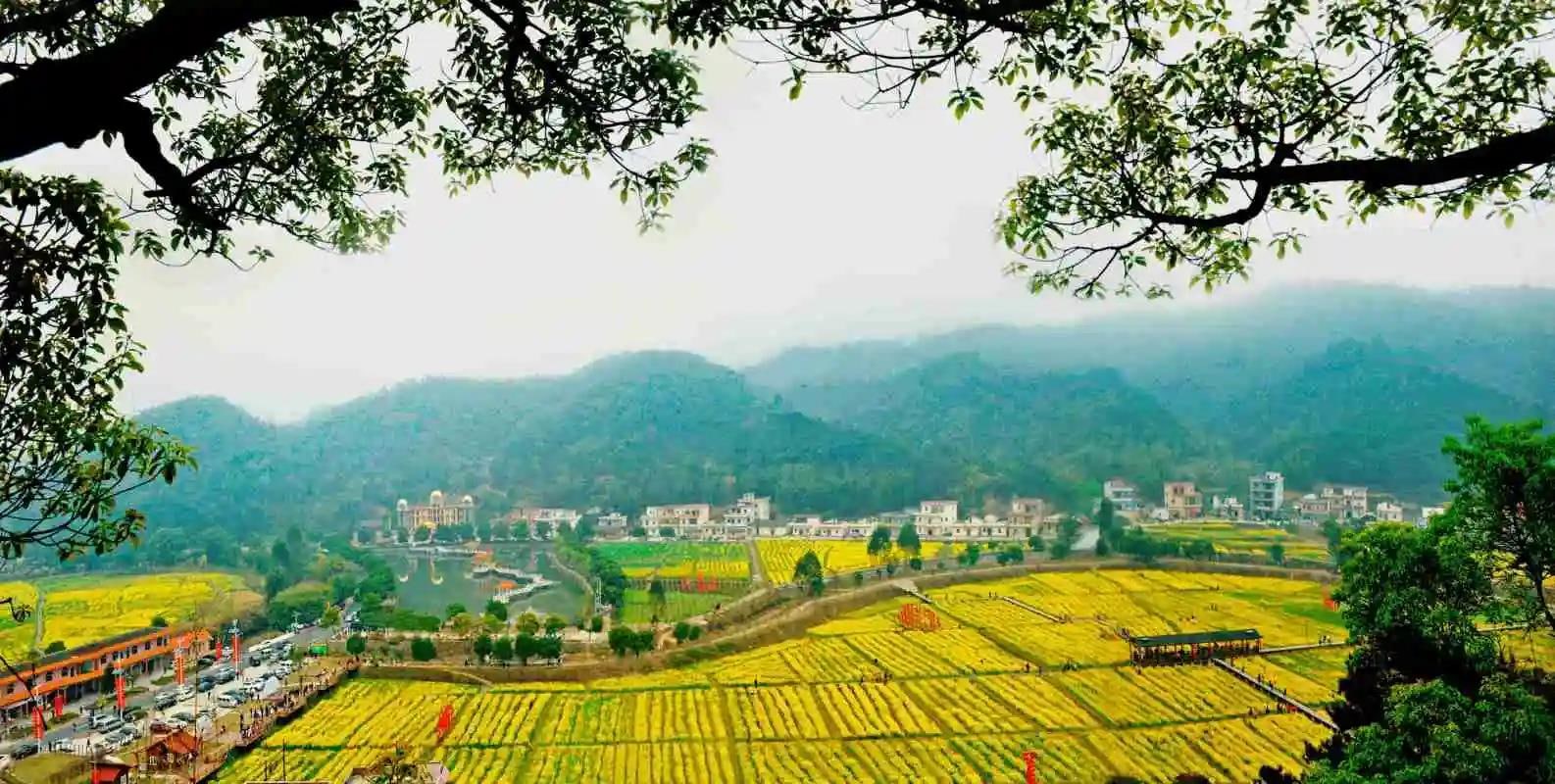 梯面红山村景点图片 4